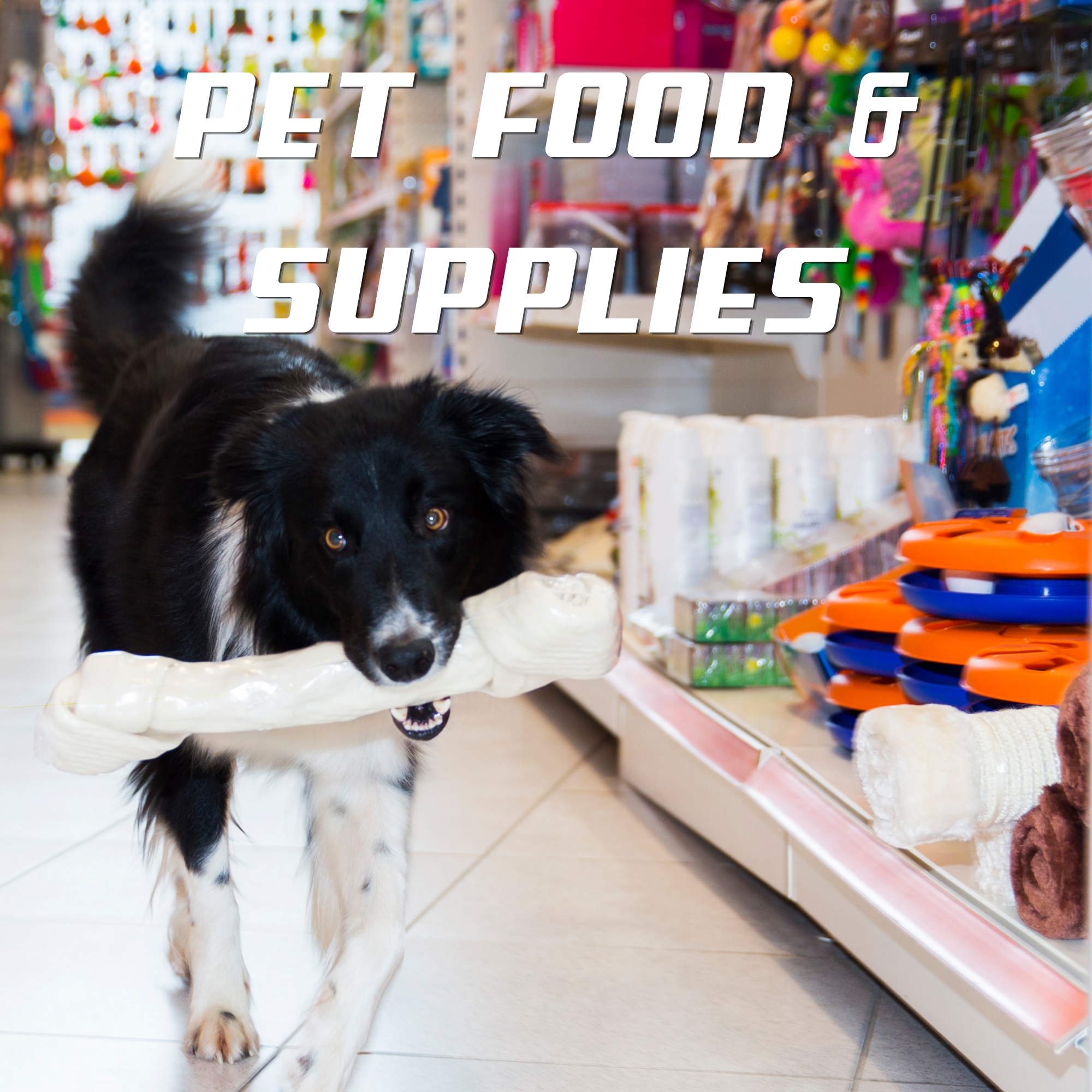 A black and white dog lying on the floor inside a pet supplies store, surrounded by shelves filled with toys and pet products, with a colorful display in the background.
