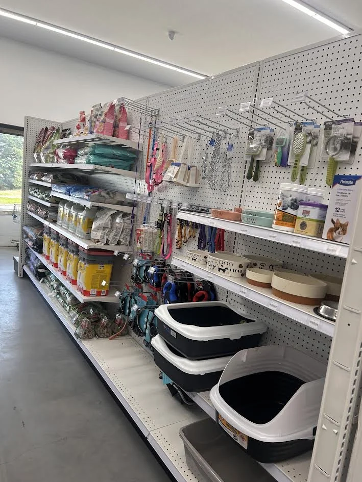 Pet supplies section in a store with dog collars, harnesses, food bowls, dog food, and pet waste bags.