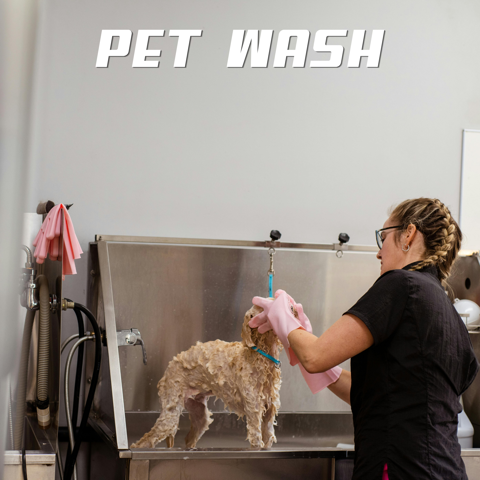 A person giving a bath to a large dog, possibly a goldendoodle, at a pet grooming wash station. The dog is standing on a stainless steel platform while the person is rinsing or washing the dog with a hose. The pet wash station includes hoses, a sink, and pink grooming gloves hanging on the side.