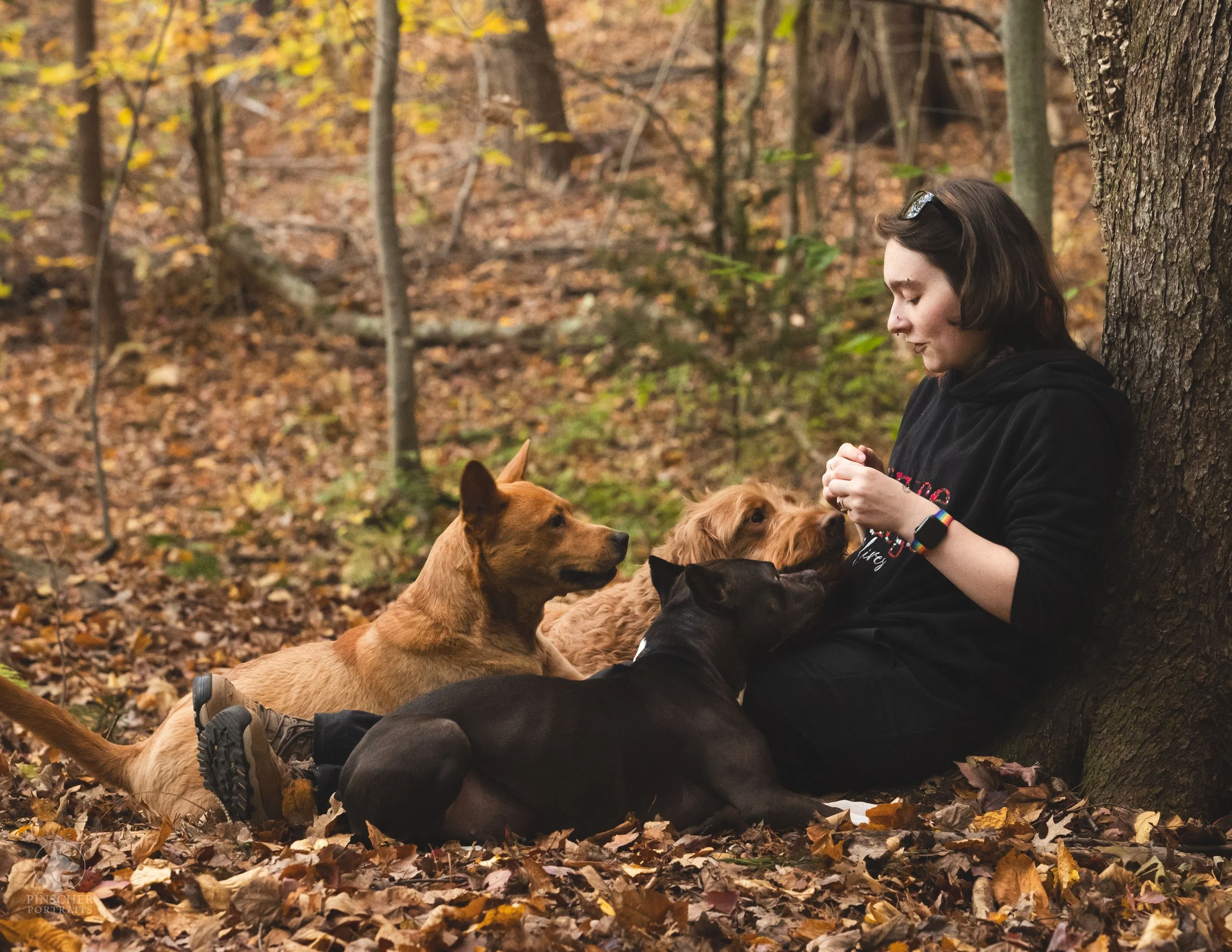 A non-binary person sitting against a tree trunk in a fall forest surrounded by four dogs, interacting with them on a leaf-covered ground.