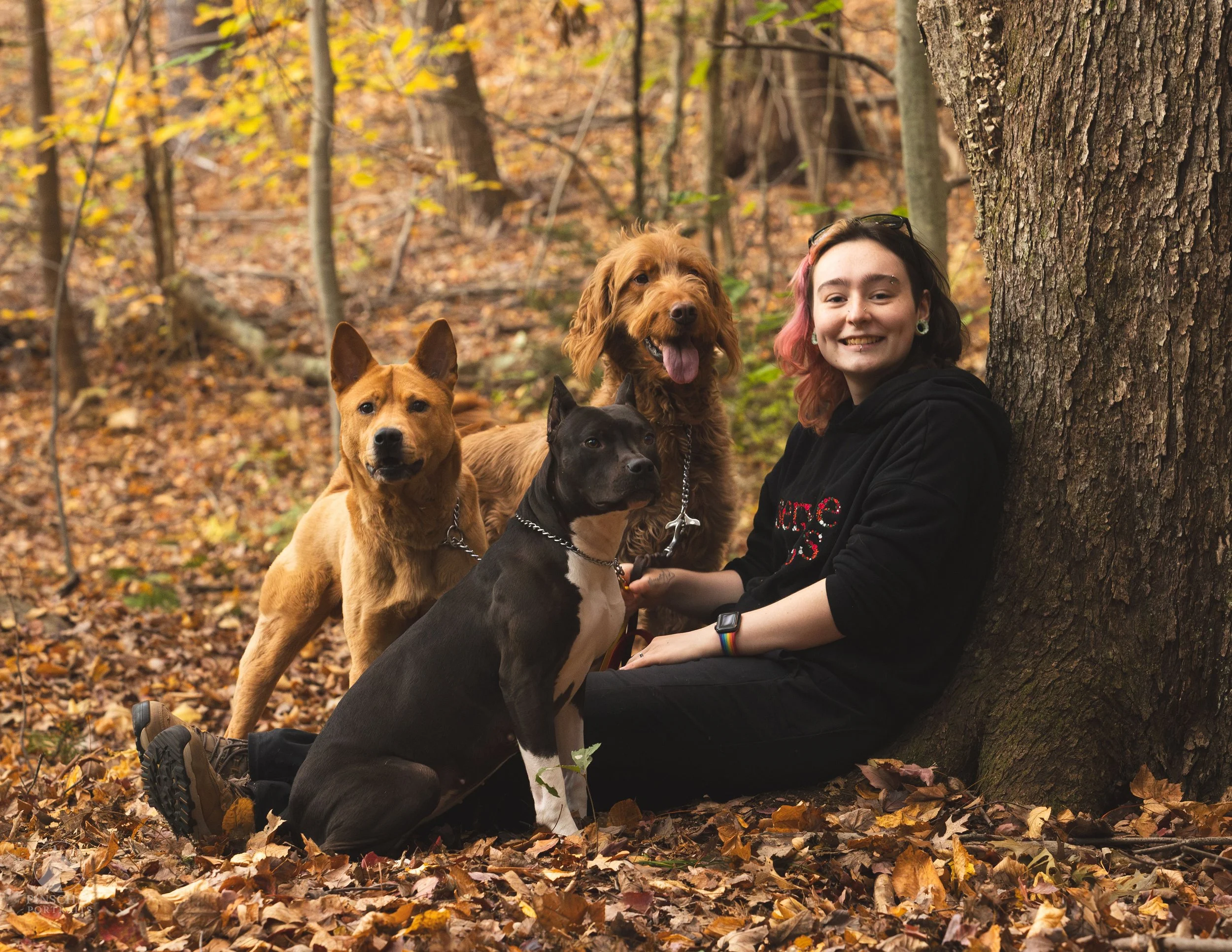 A non-binary person sitting against a tree trunk in a forest with fallen leaves, smiling, with four dogs around them, during autumn.