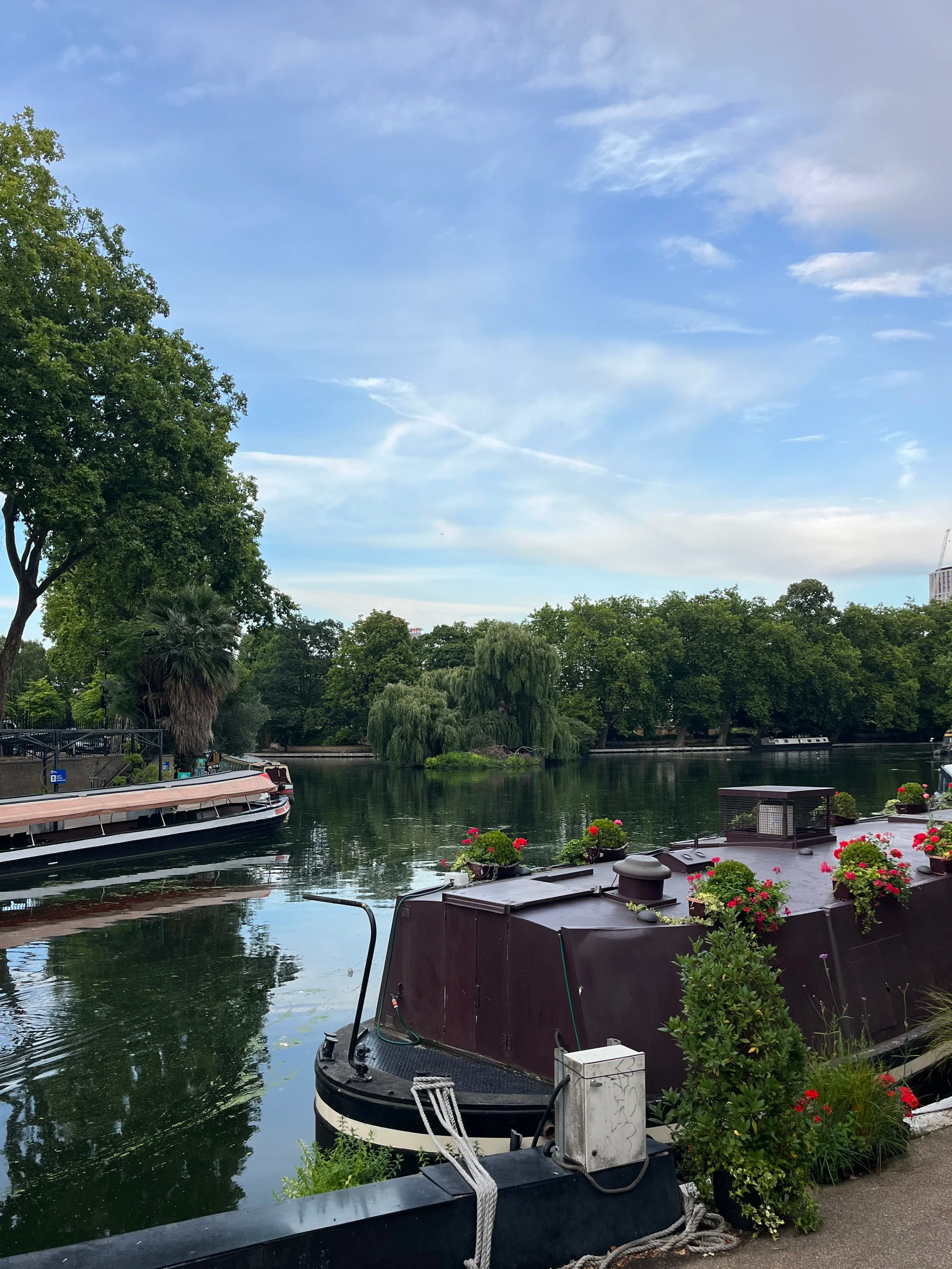 Boats docked along a river with lush green trees in the background, some with flowering plants on the boats, under a partly cloudy sky.
