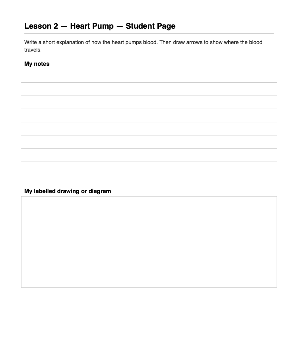 Human Body Sample Page 2.png