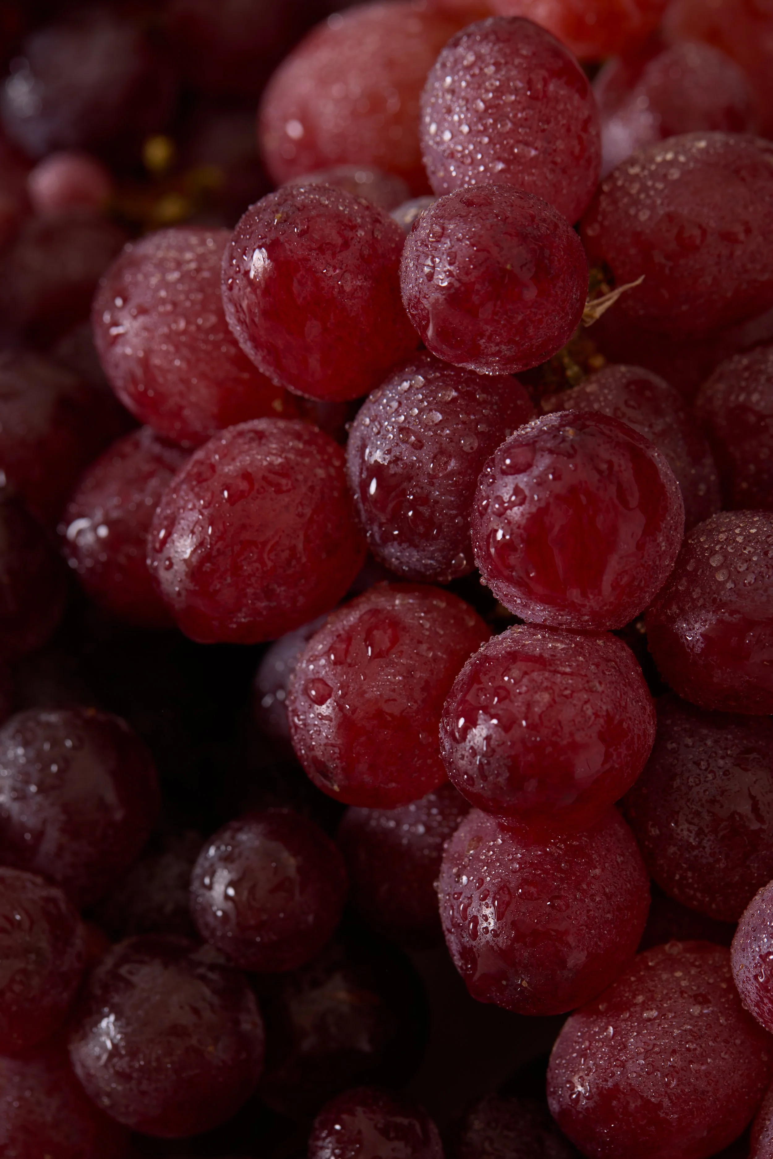 Juice Beauty0212_HR.jpg