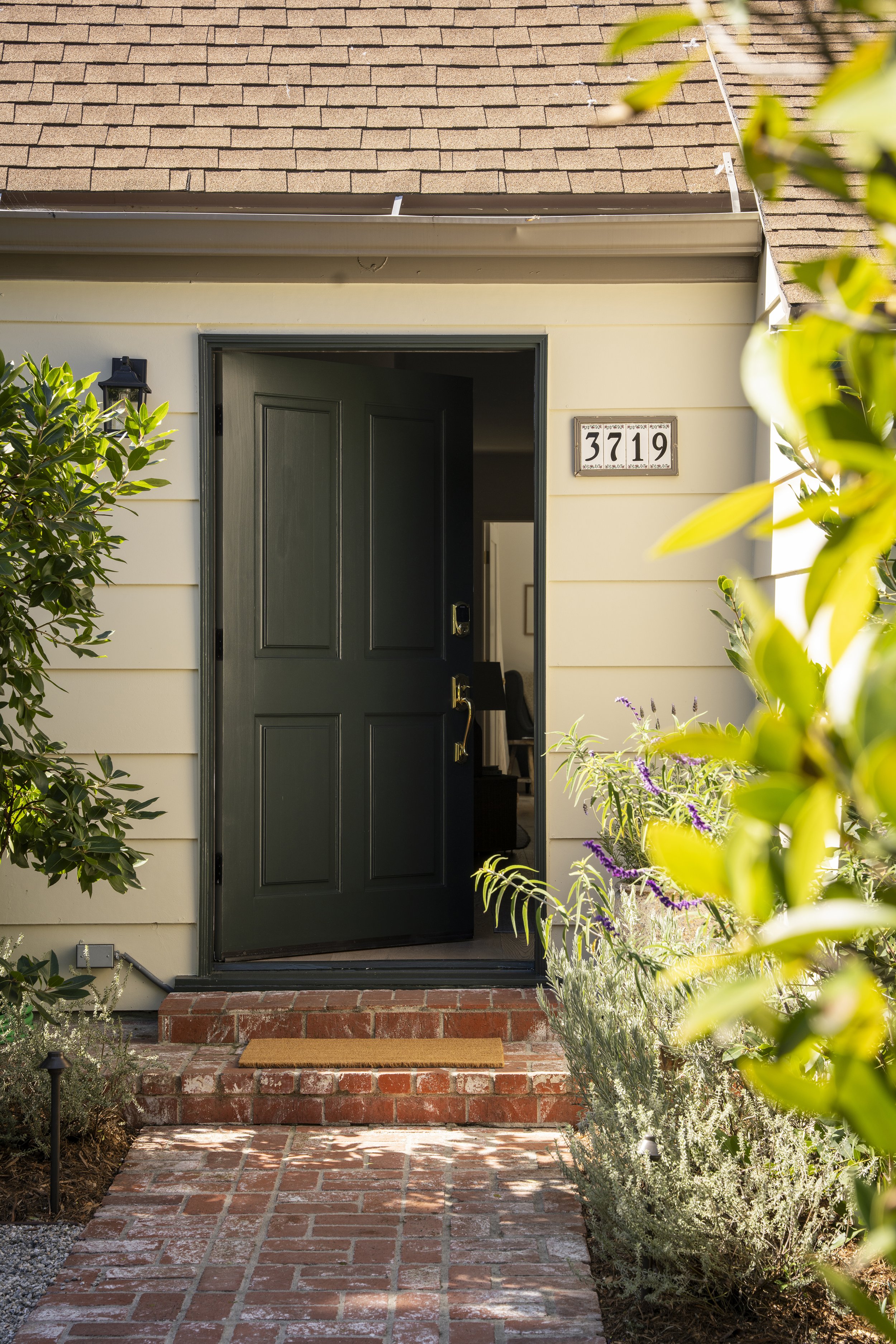 GAV08103 half size.jpg