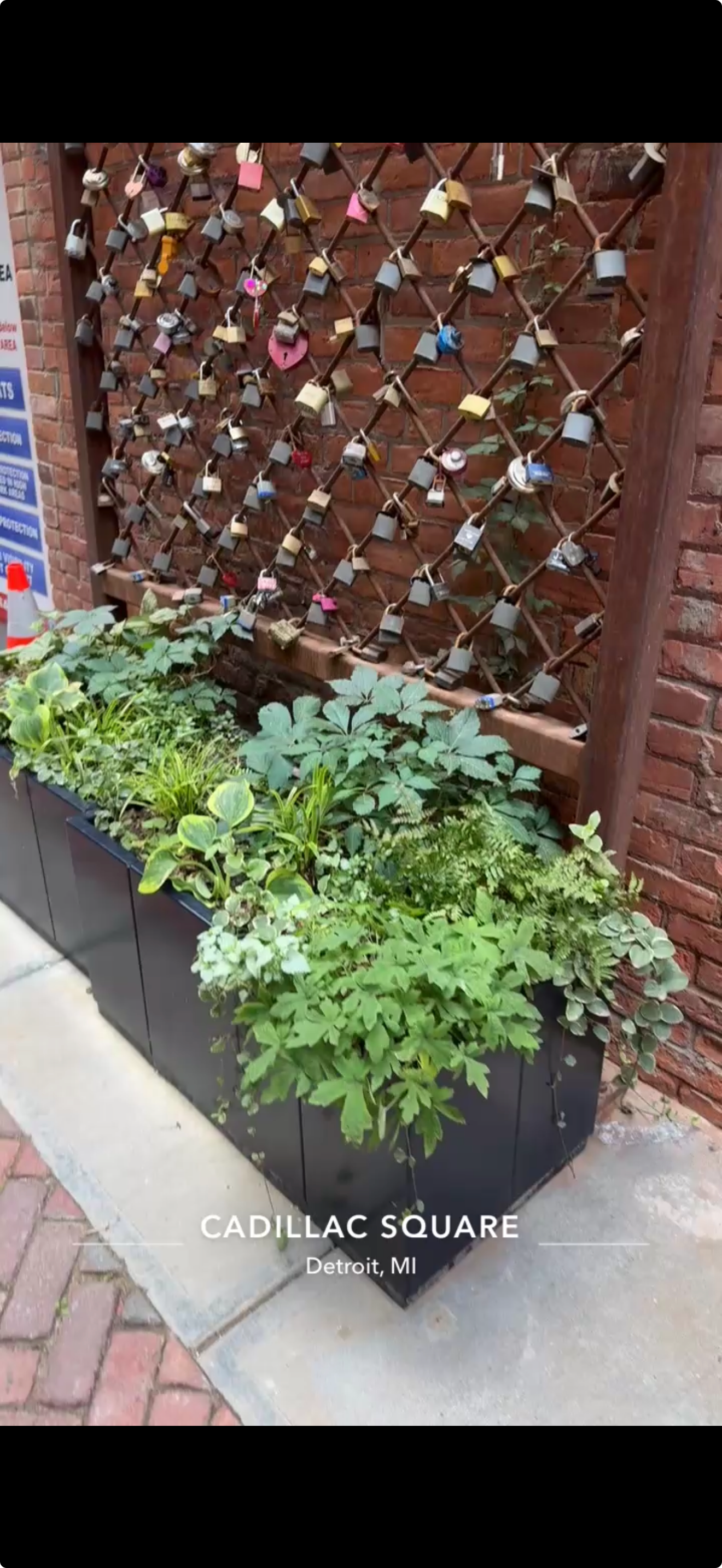 View recent photos.PNG