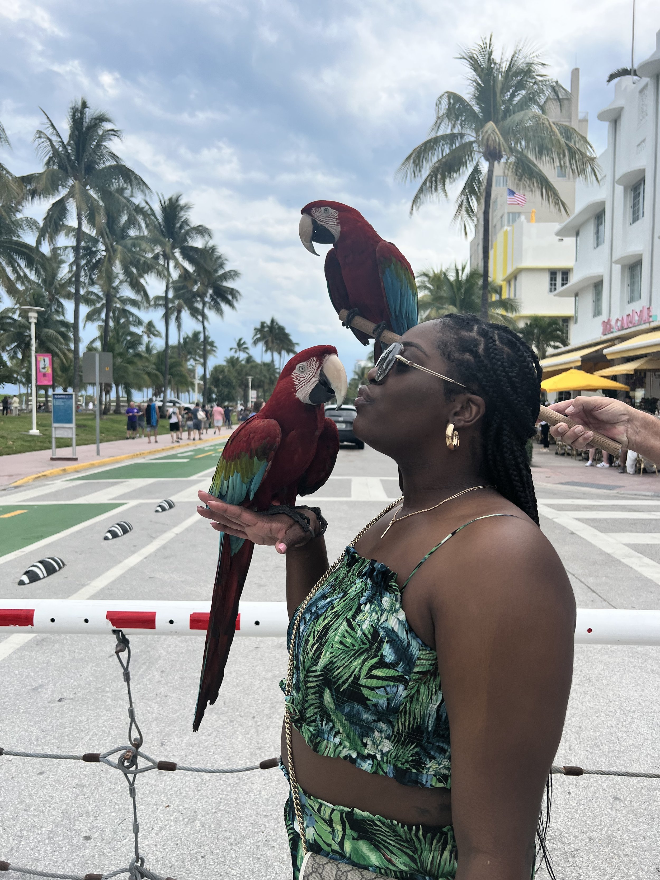 A woman with braided hair and sunglasses holding a colorful parrot on her hand, with another parrot perched on her head, in an outdoor setting with palm trees, buildings, and people in the background.