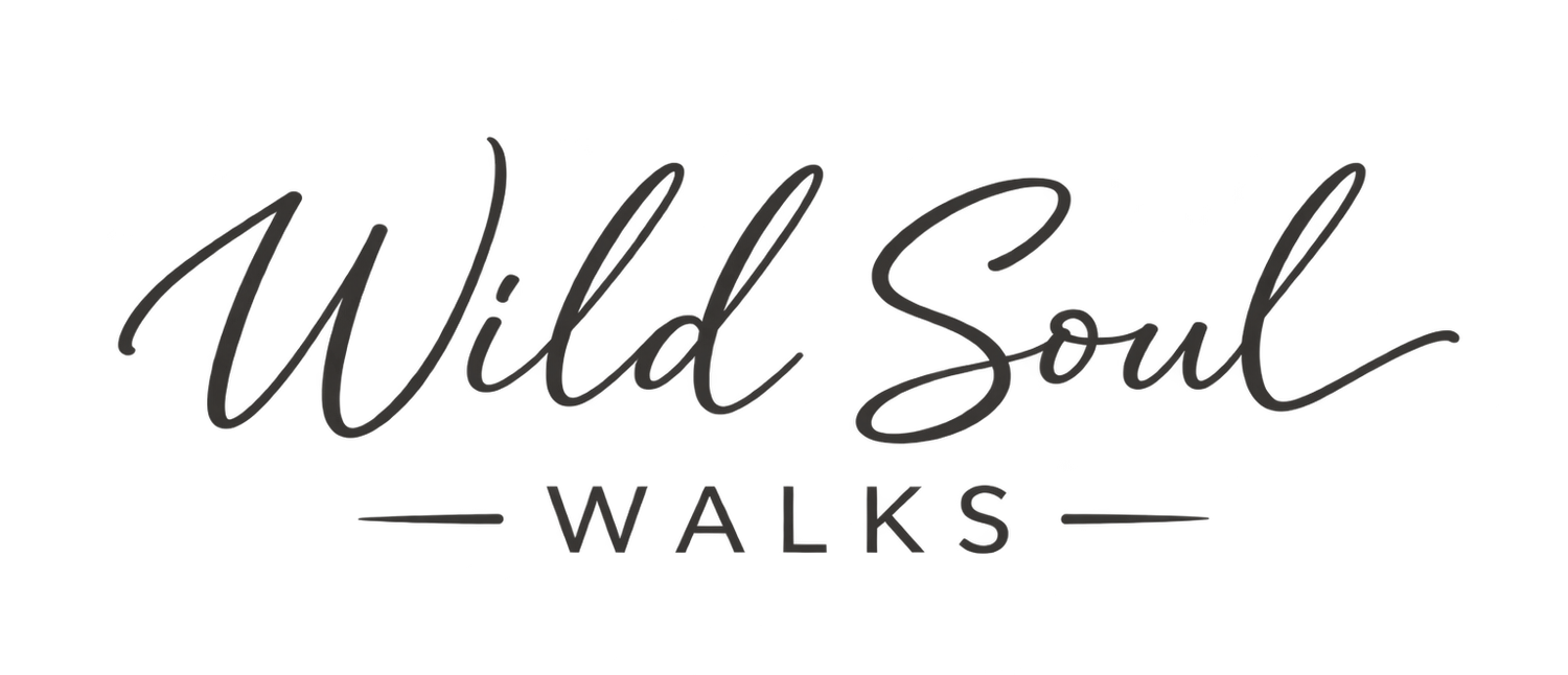 Wild Soul Walks 