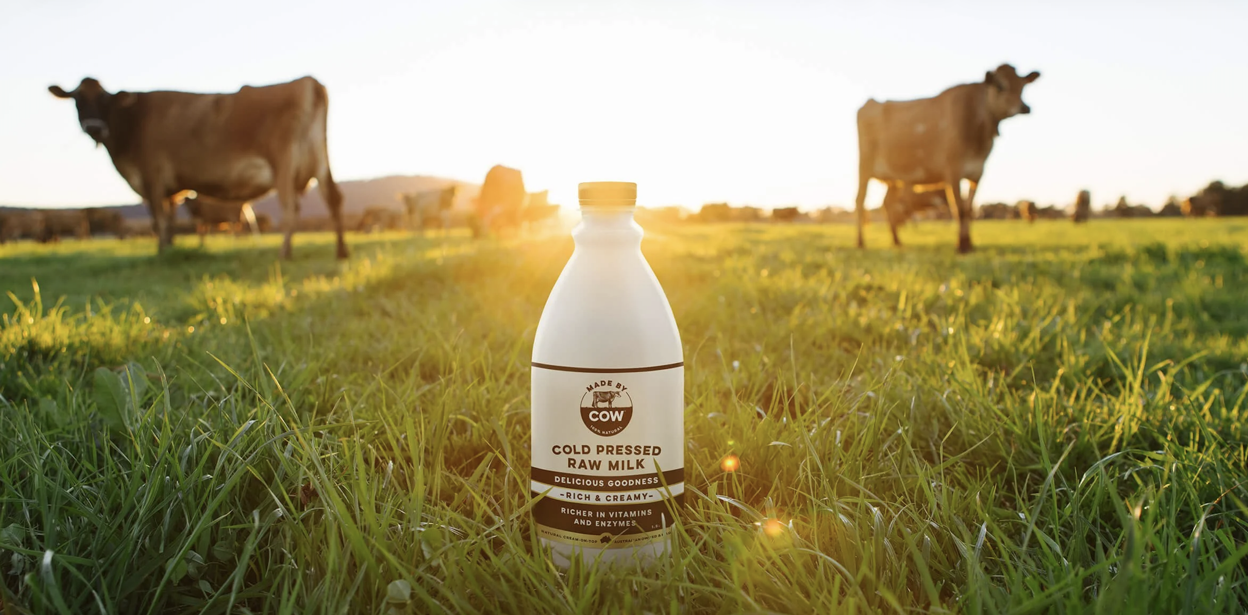 HappyGreen; strategic growth partner for premium, conscious brands. 