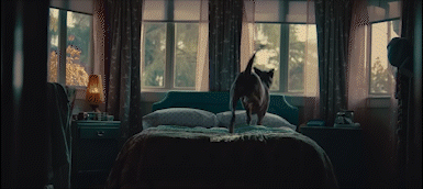 Amazon | Saving Sawyer