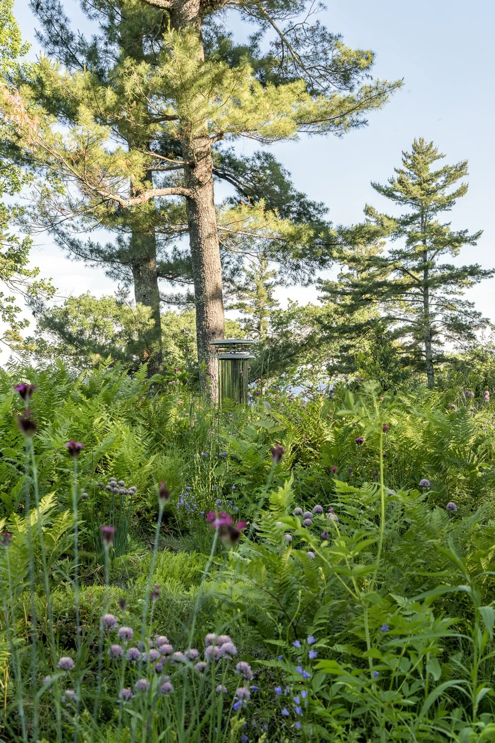 2026-06-17 RPmo Sebago WEB ©Jeff Roberts Imaging (22).jpg