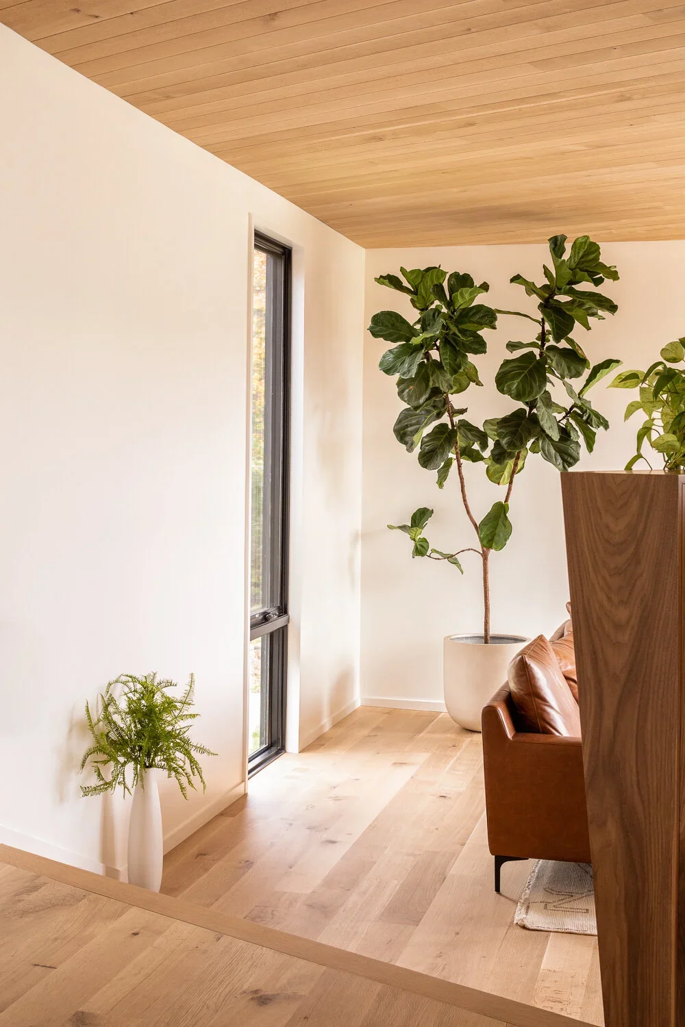 Rowe — Morrison Builder