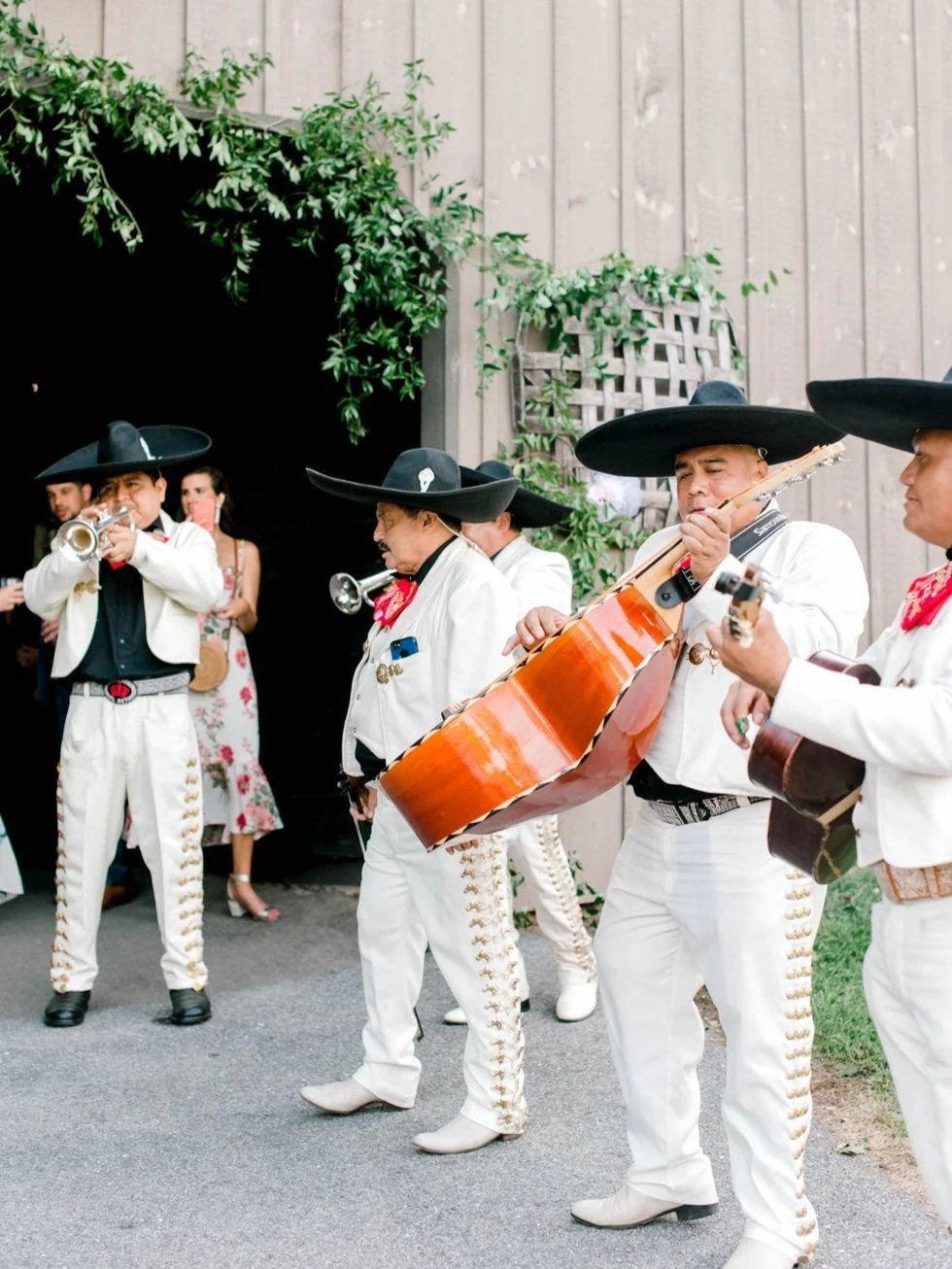 Mexican mariachi band performing outdoors with musicians wearing traditional charro suits and sombreros, playing various instruments.