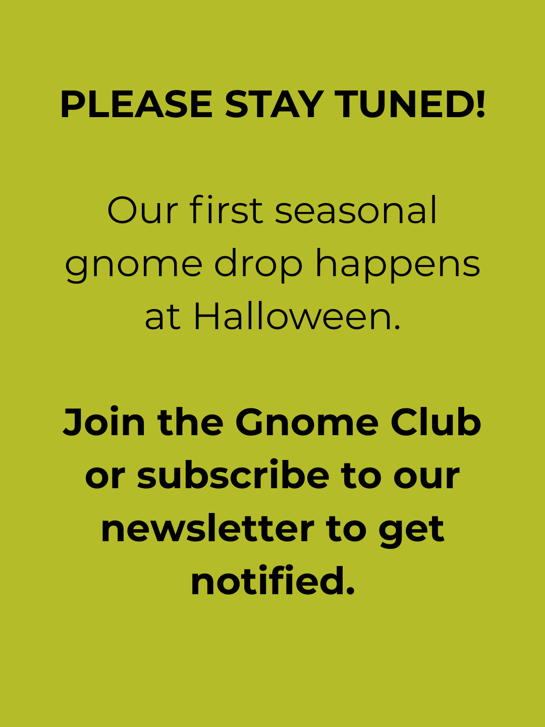 Festive/Holiday Gnomes!