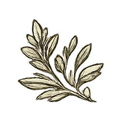 A black and white illustration of a leafy branch with multiple leaves.