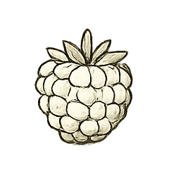 Sketch of a raspberry with leaves on top