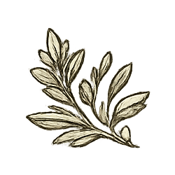 A cluster of green leaves with a vintage, hand-drawn appearance.