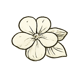 A simple black and white drawing of a flower with five petals and two leaves