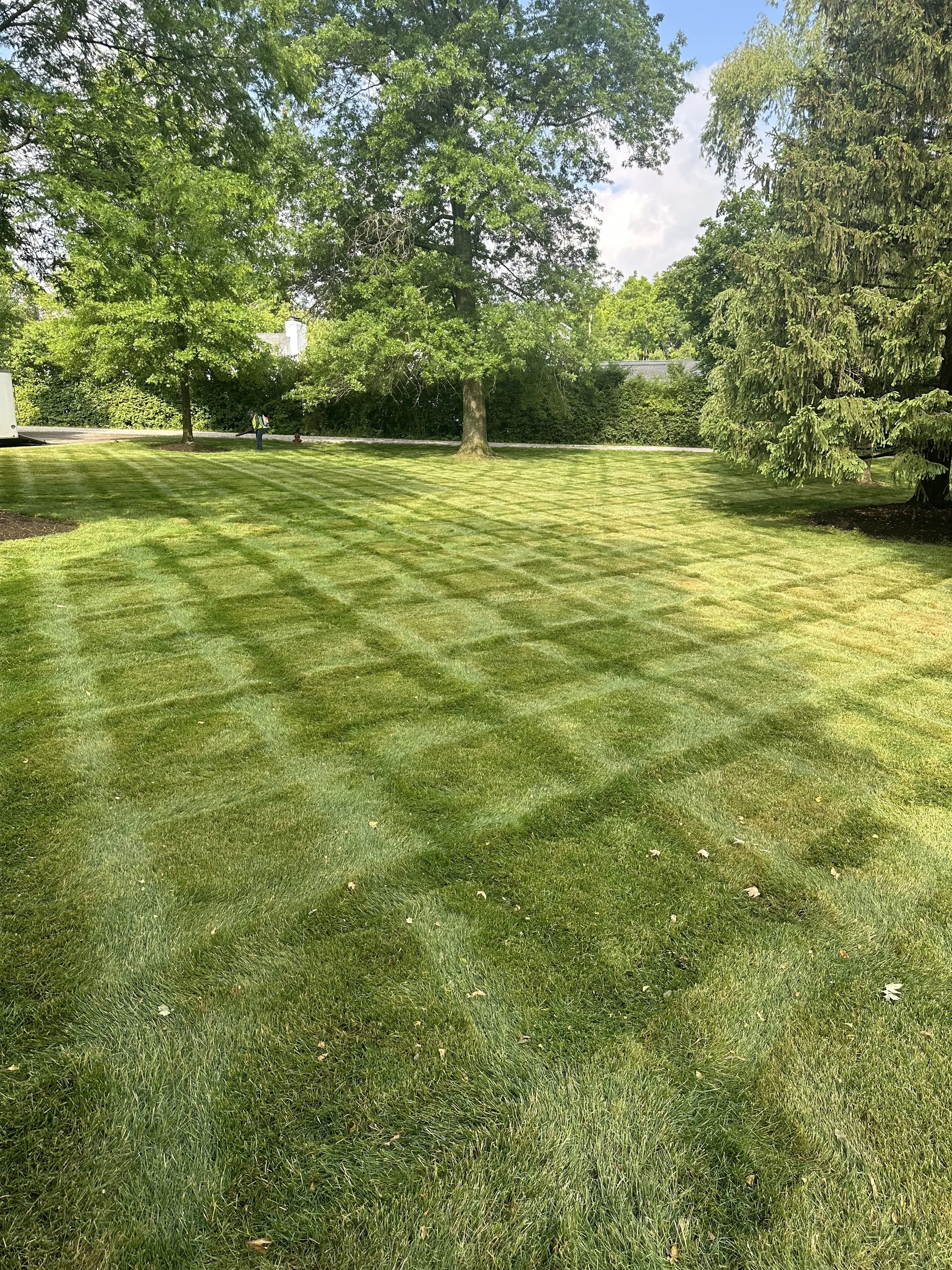 Professional lawn maintenance and turf care for a Crangle Outdoor commercial client in Northeast Ohio