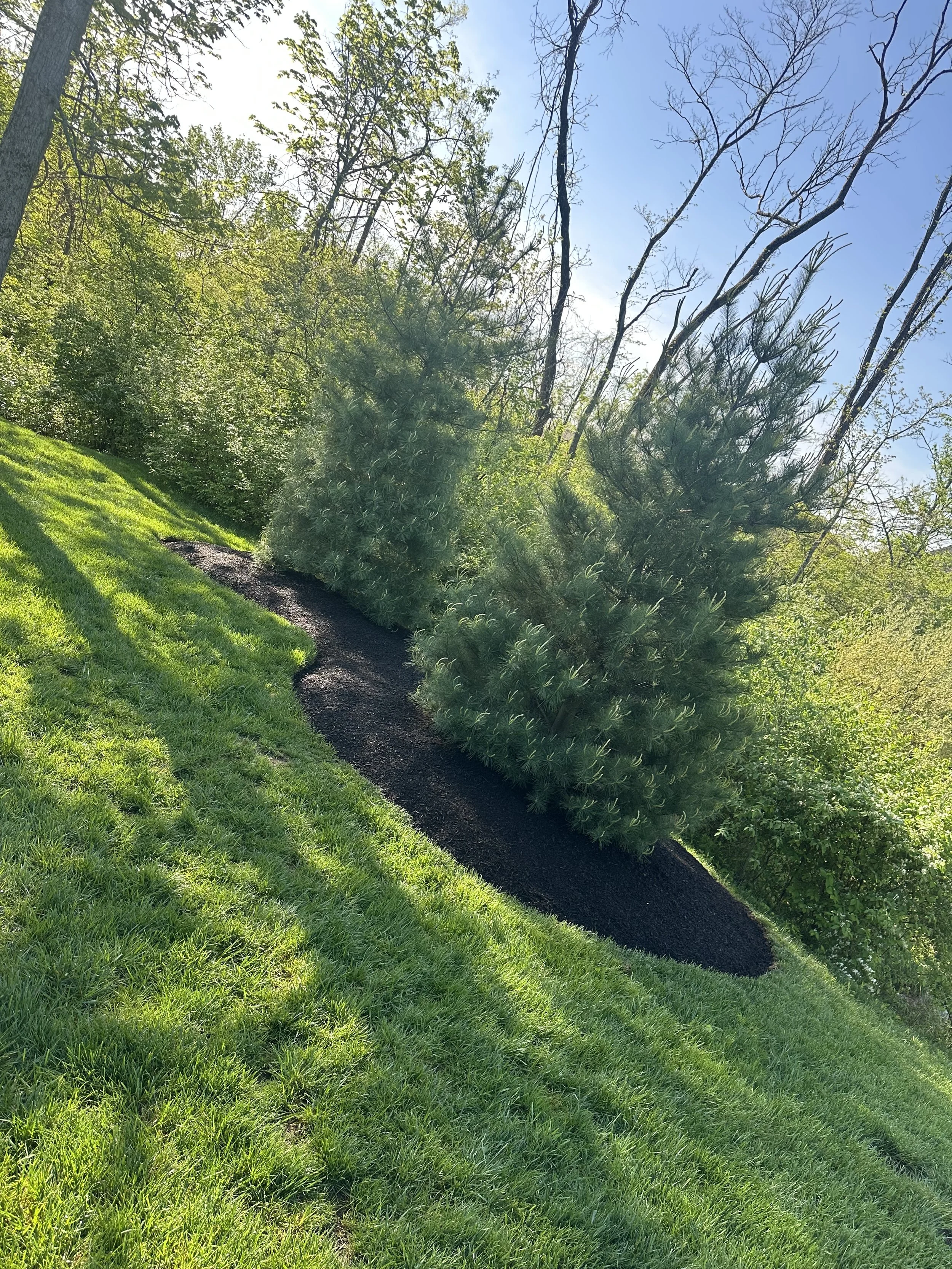 Professional lawn maintenance and turf care for a Crangle Outdoor commercial client in Northeast Ohio