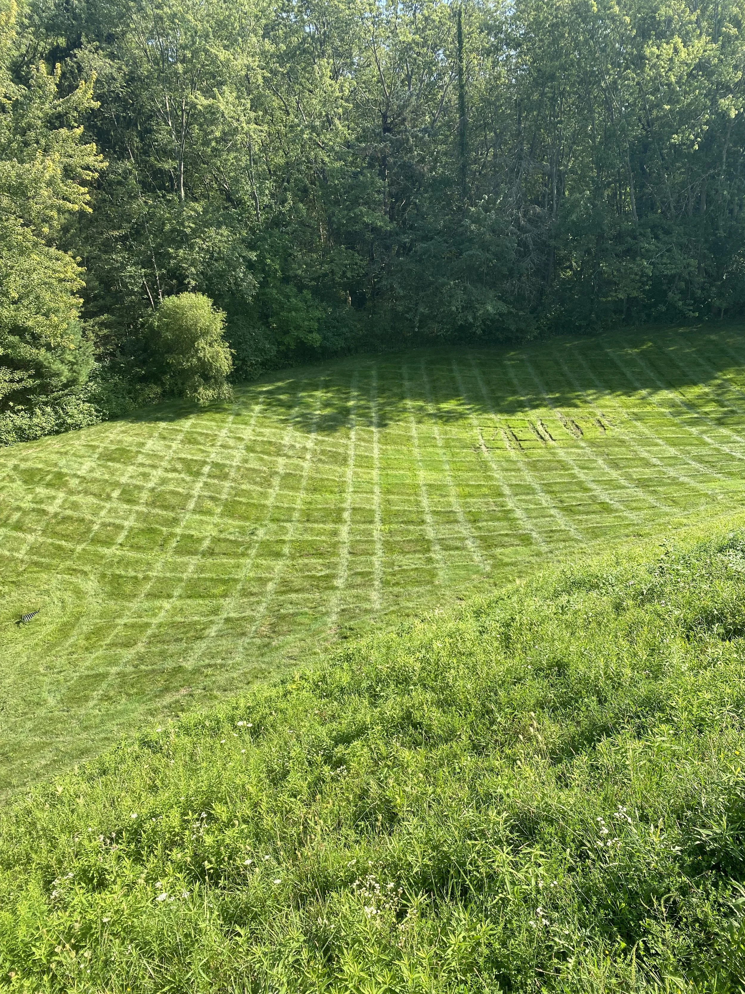 Professional lawn maintenance and turf care for a Crangle Outdoor commercial client in Northeast Ohio