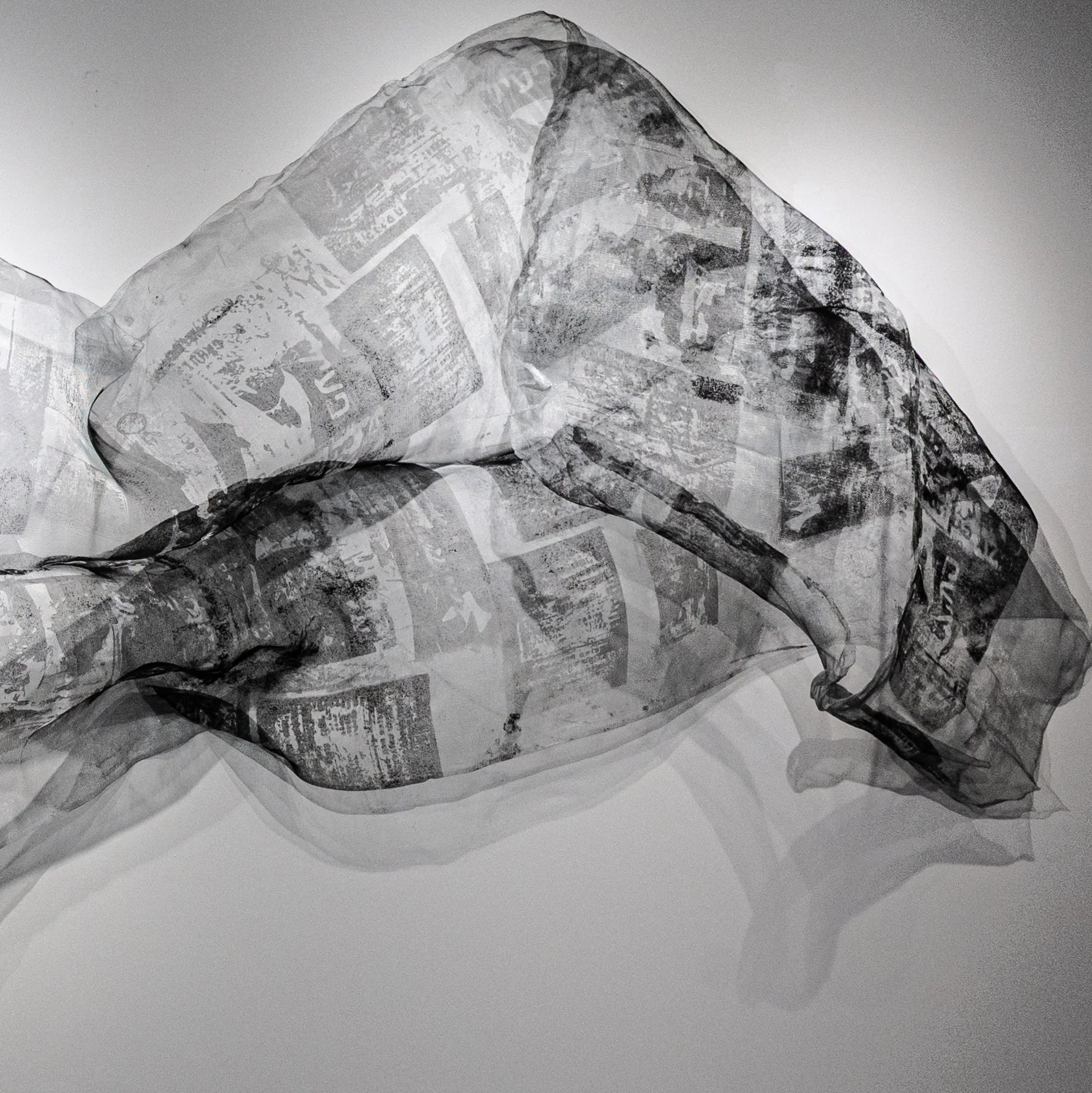 Margarita Fainshtein, 2017, Screen print on window screen ,13 feet(1).jpg