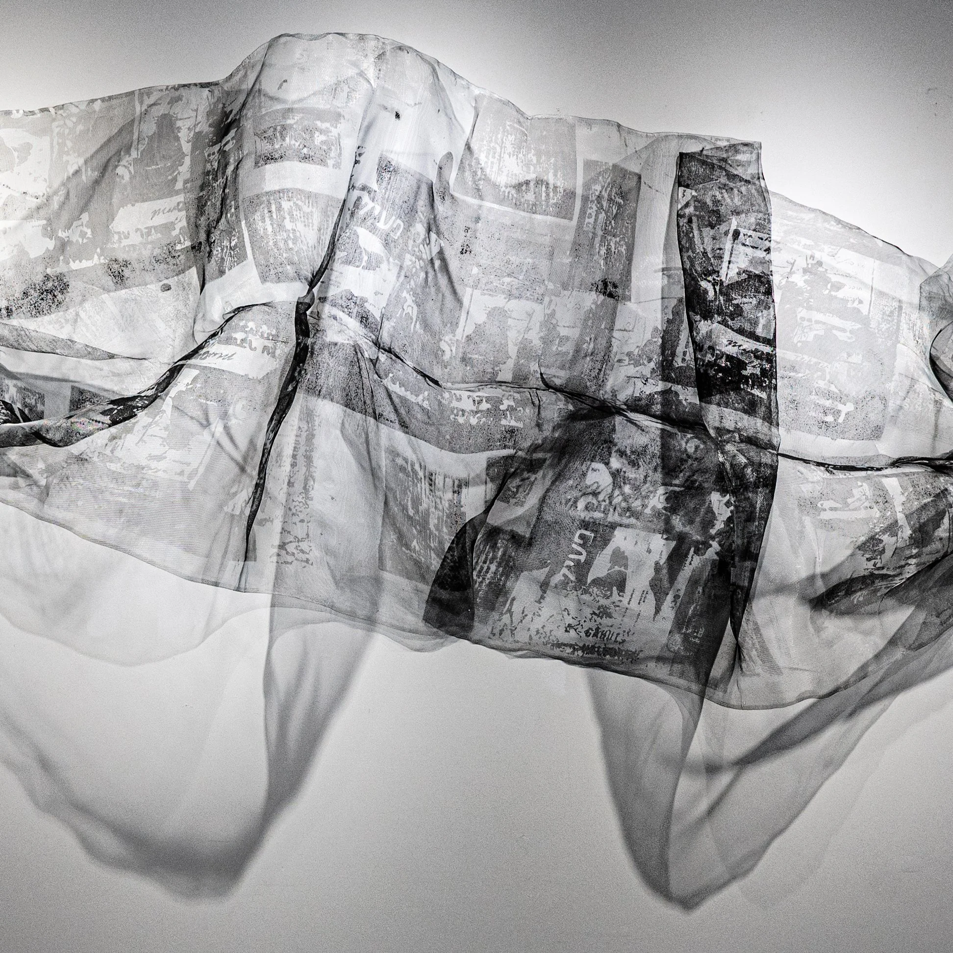 Margarita Fainshtein, 2017, Screen print on window screen ,13 feet.jpg