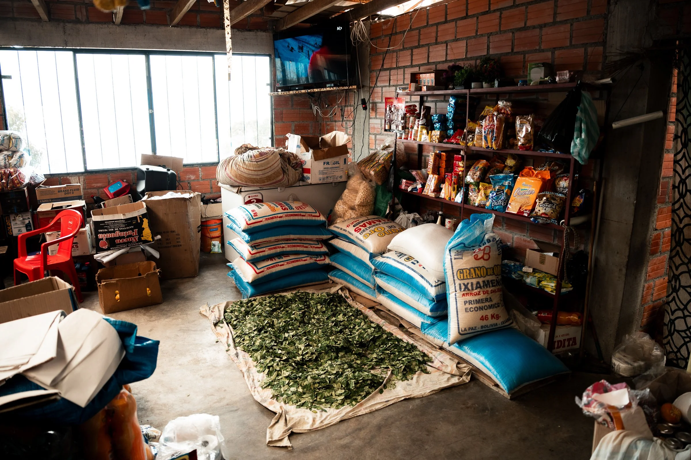Coca leaves drying in a small shop