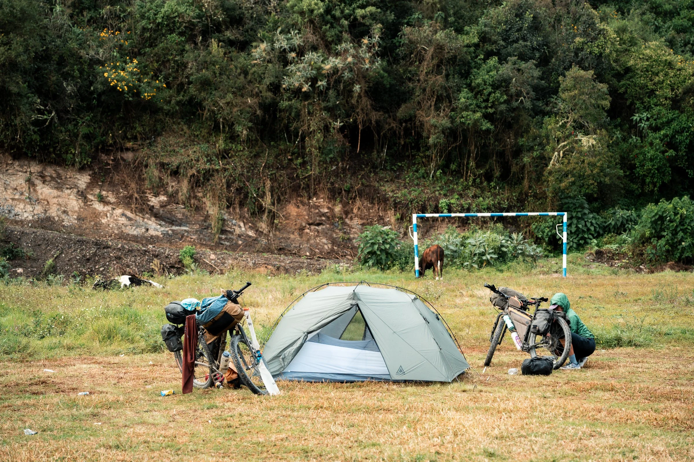 Camping with the cows and goals