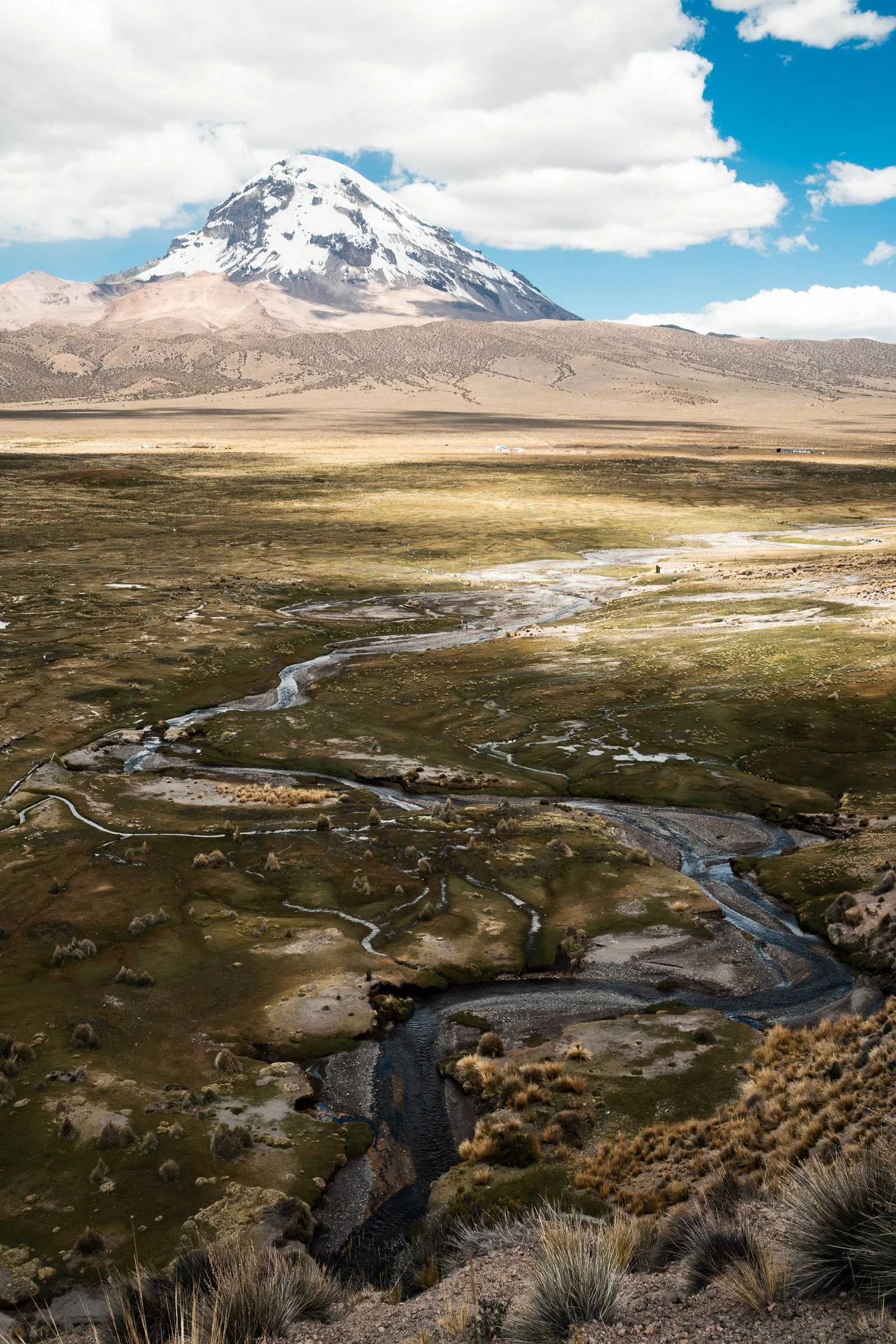 LP-S DSC08759.jpg