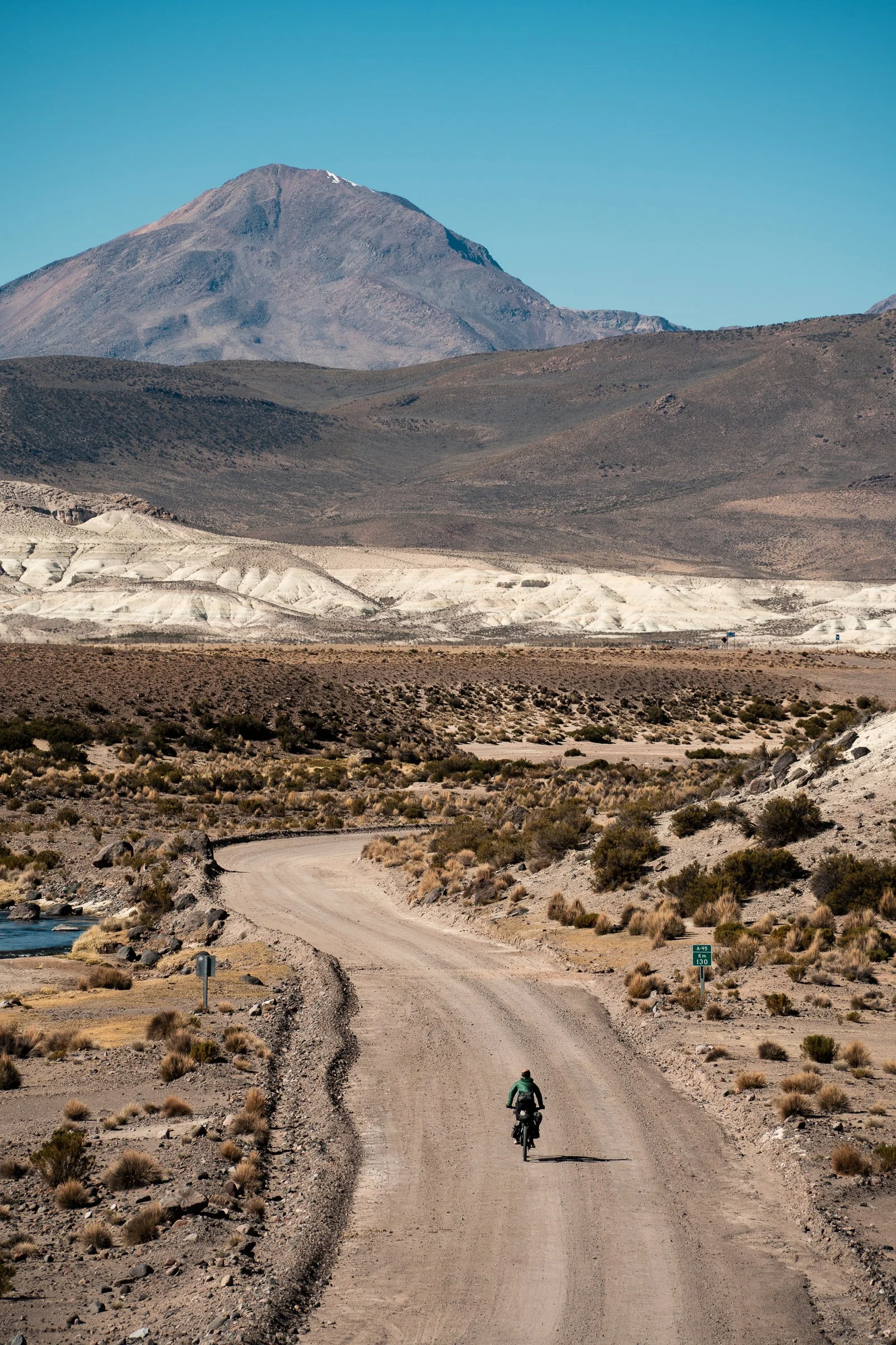 Vicunas DSC08847.jpg