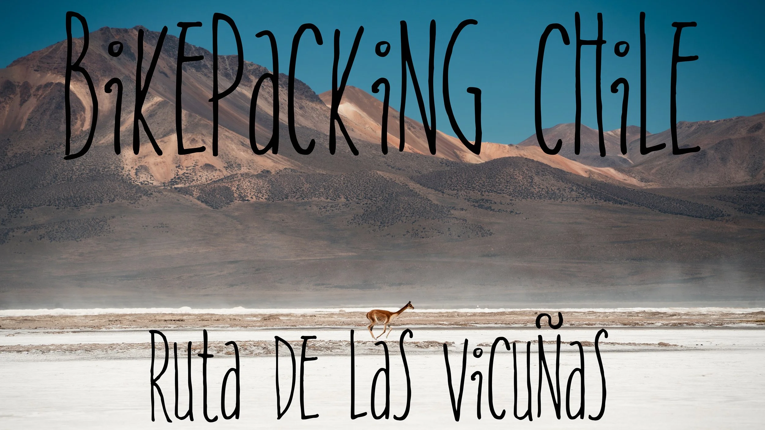 Video - Ruta De Las Vicuñas