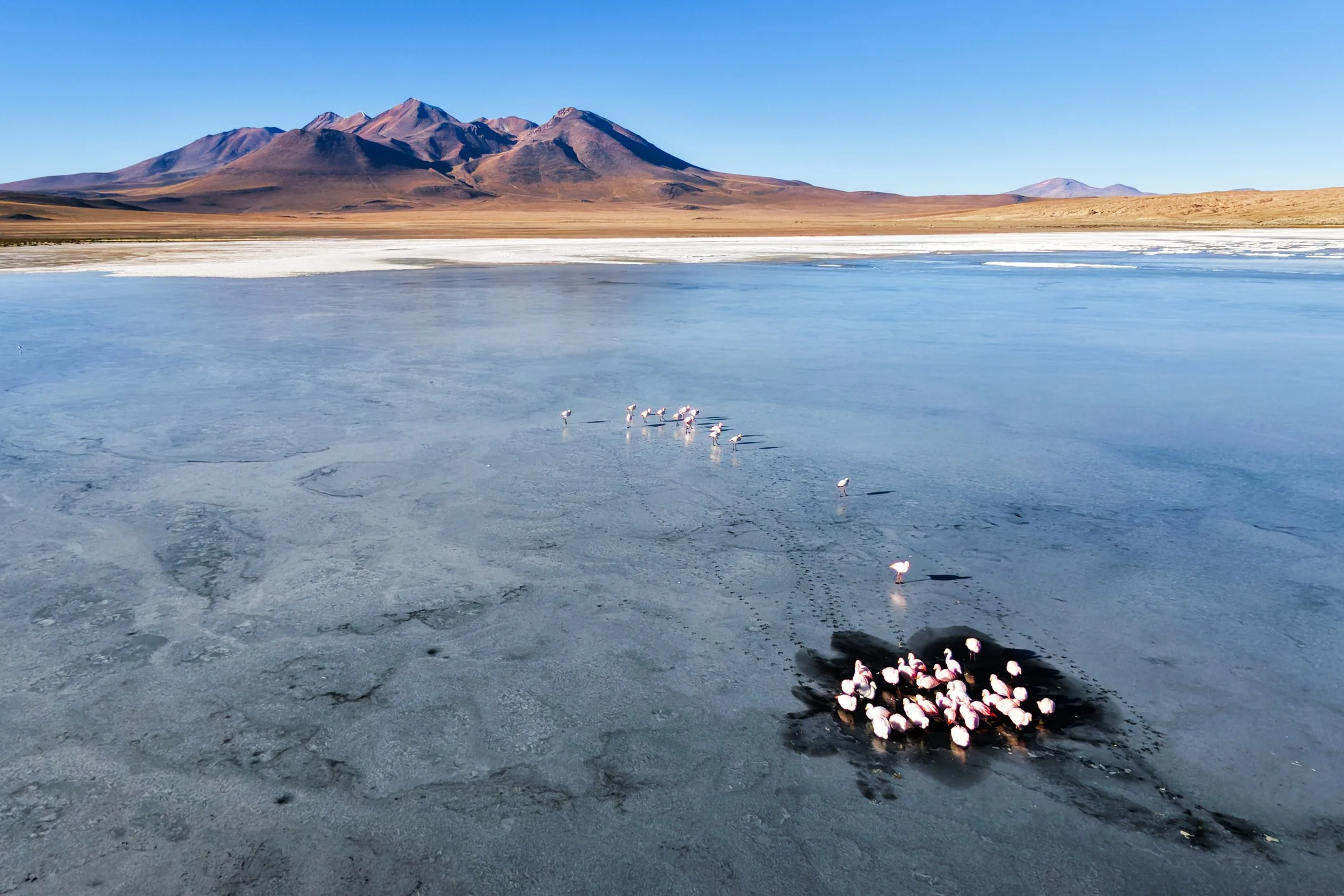 The Lagunas Route, Bolivia
