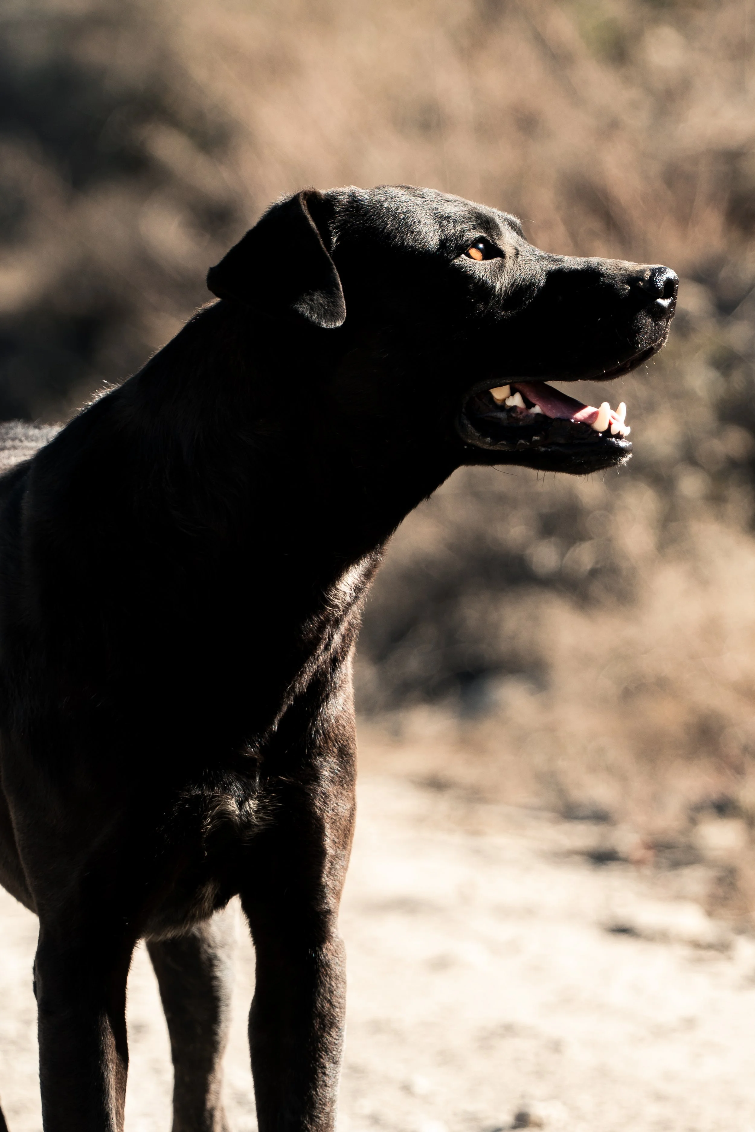 Mama Coca South-89.jpg