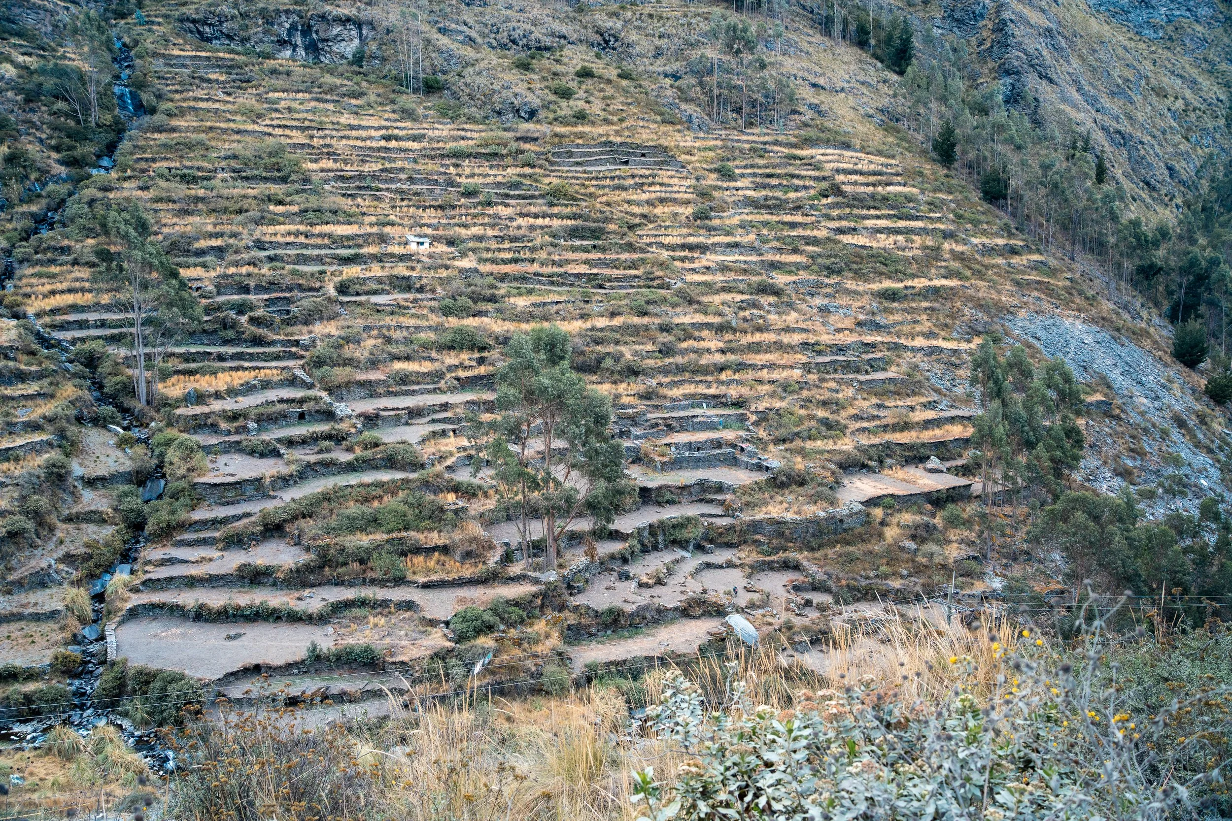 Tres Cordilleras Peru-50.jpg