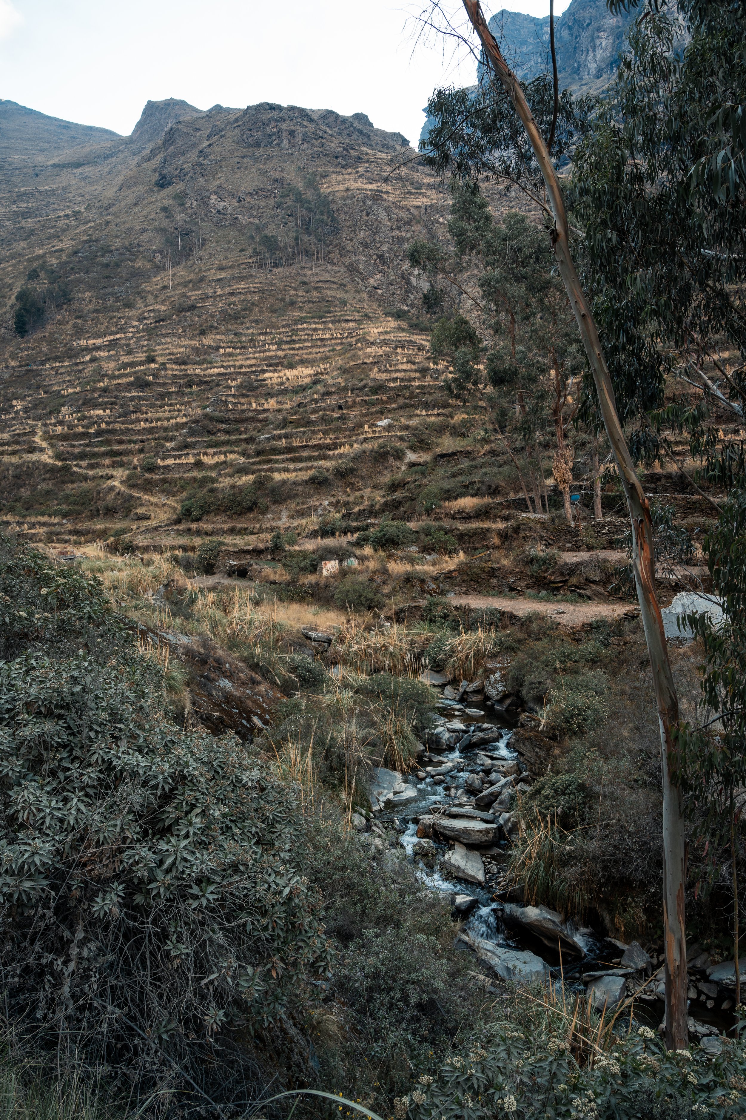 Tres Cordilleras Peru-65.jpg