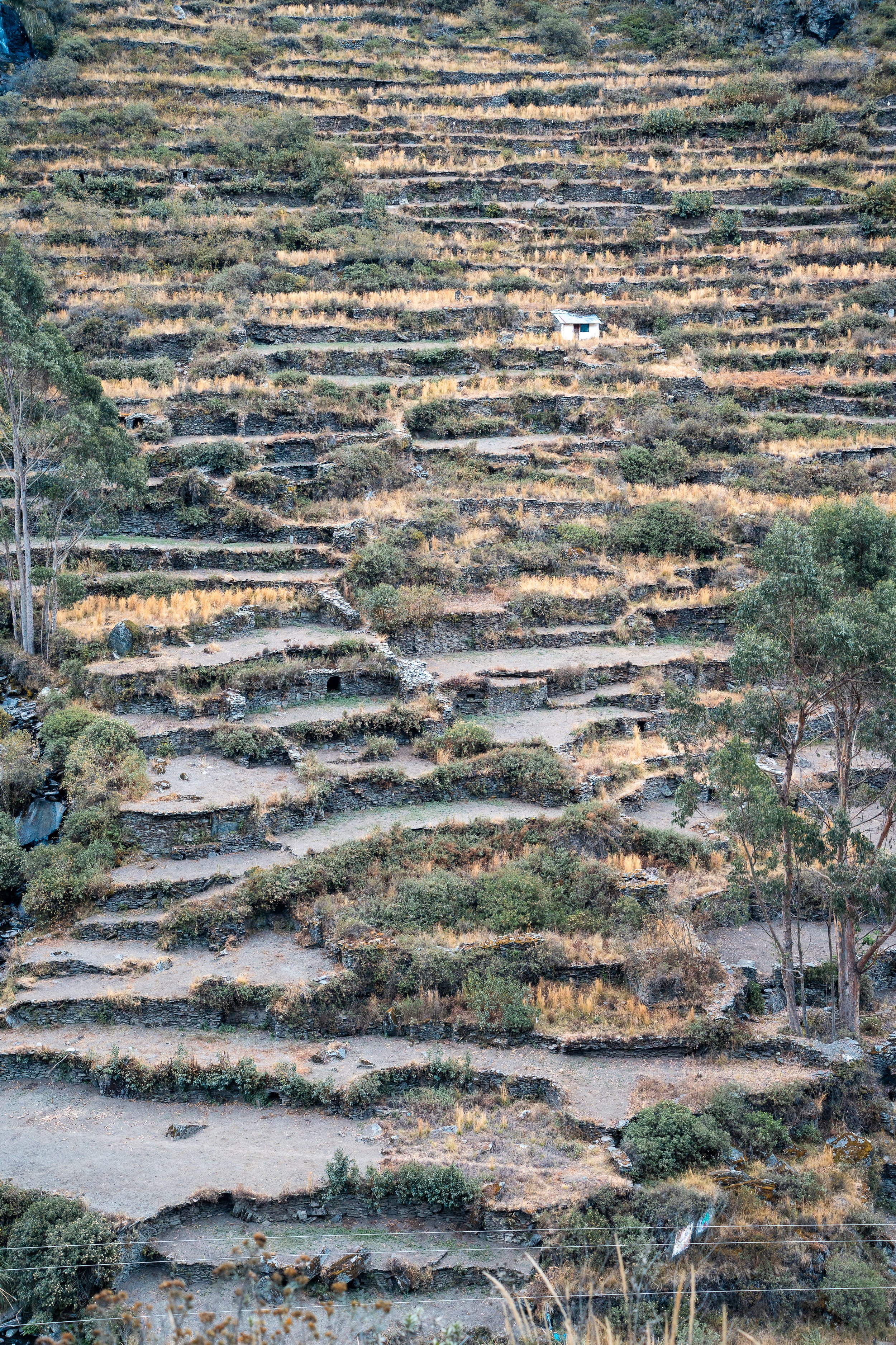 Tres Cordilleras Peru XX-3-2.jpg