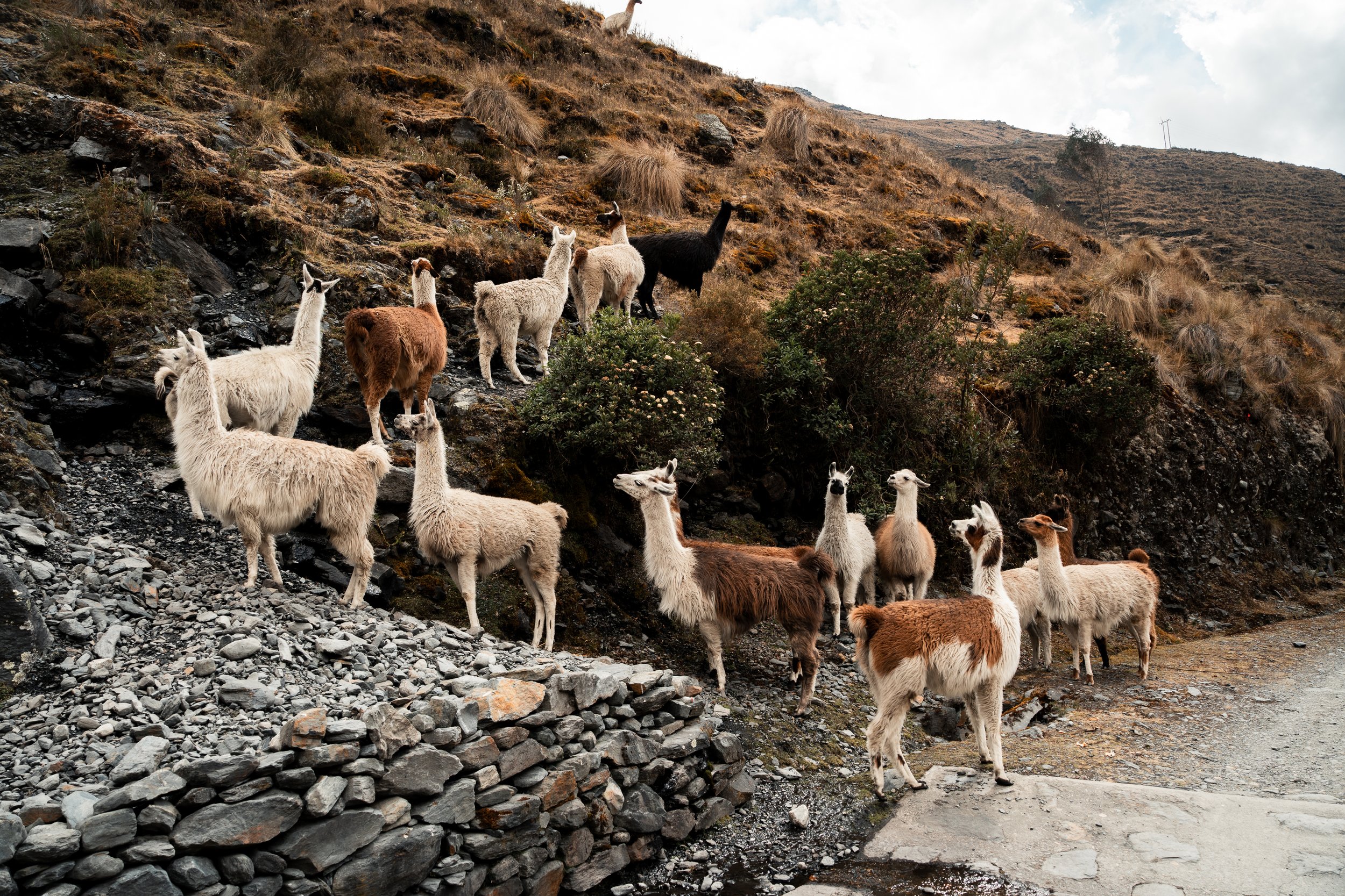 Tres Cordilleras-14.jpg