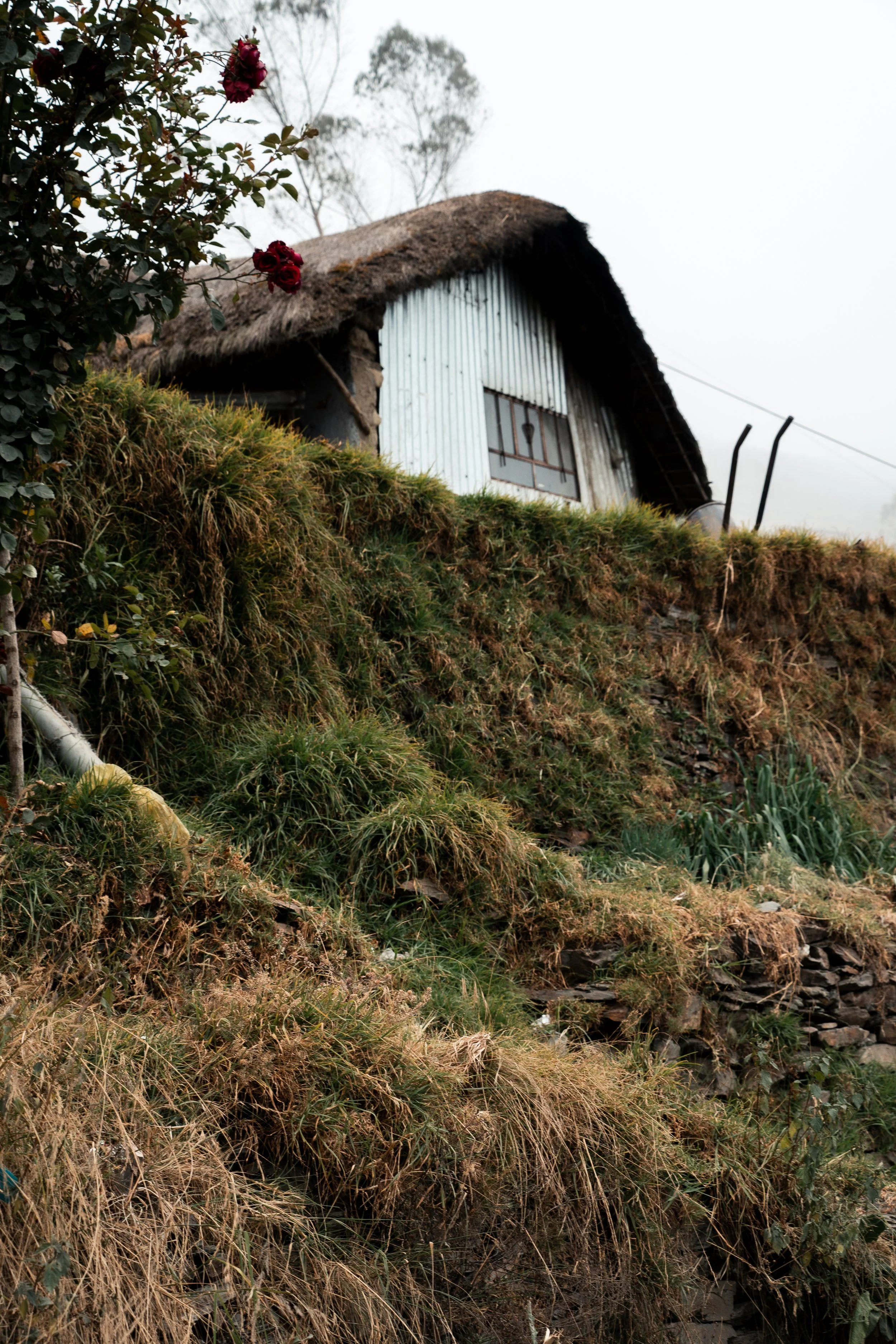 Tres Cordilleras-17.jpg