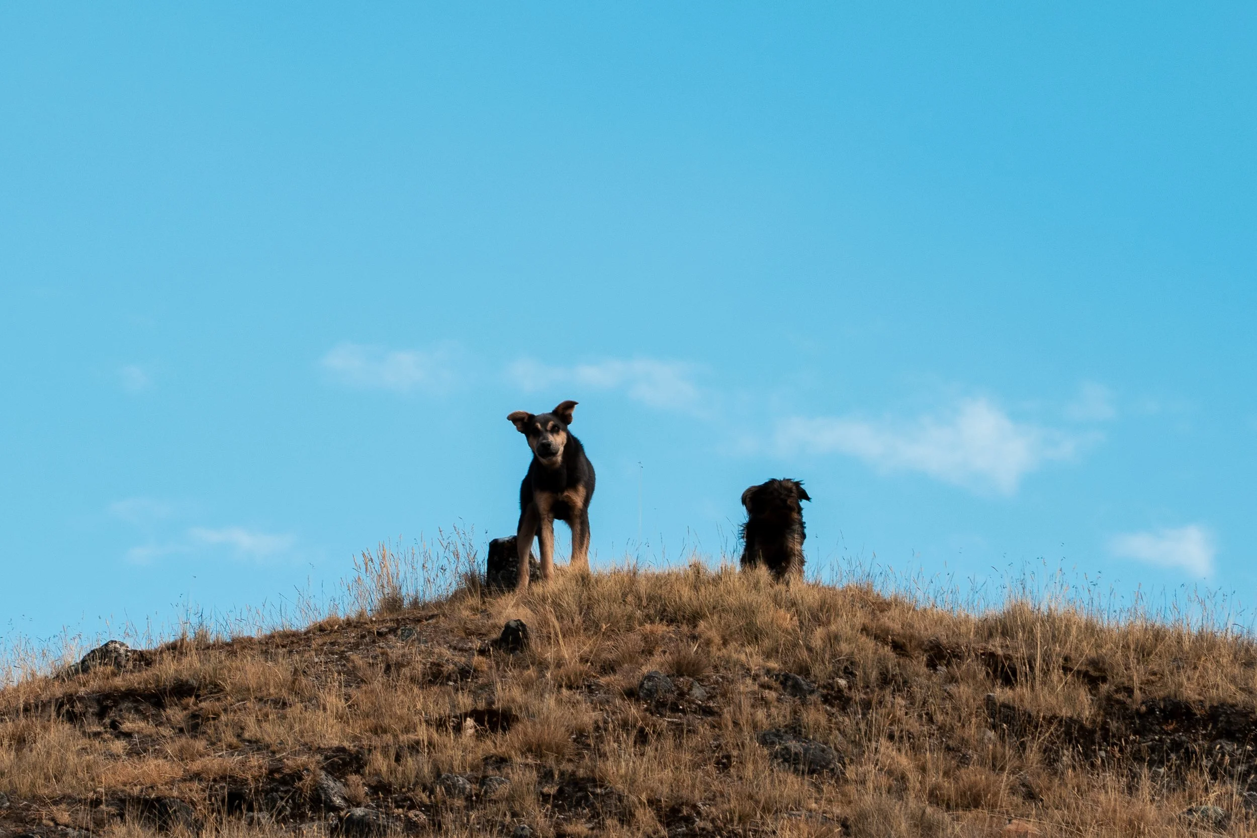 Tres Cordilleras-75.jpg