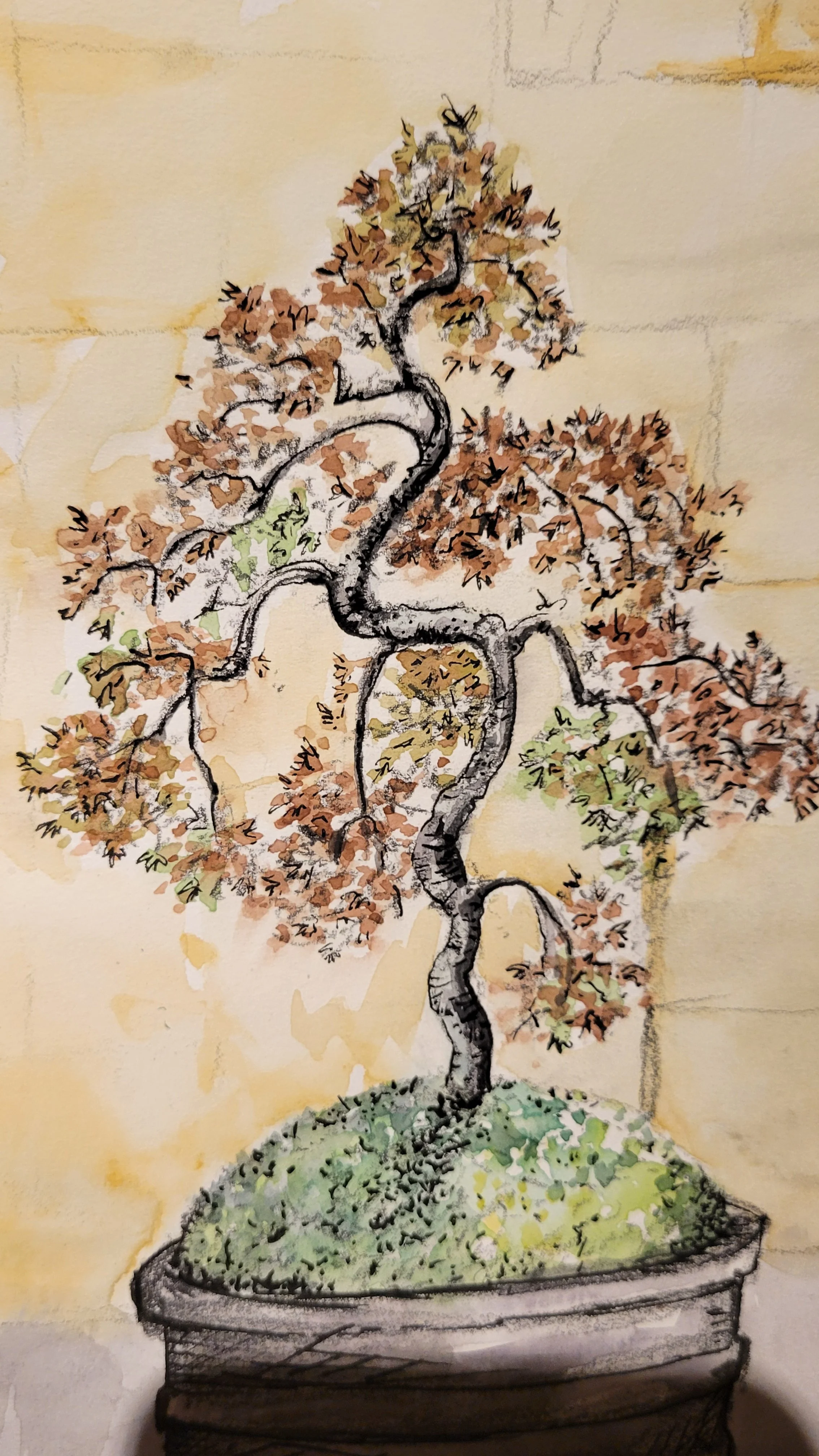 Qi Gong offering for Richfield Utah