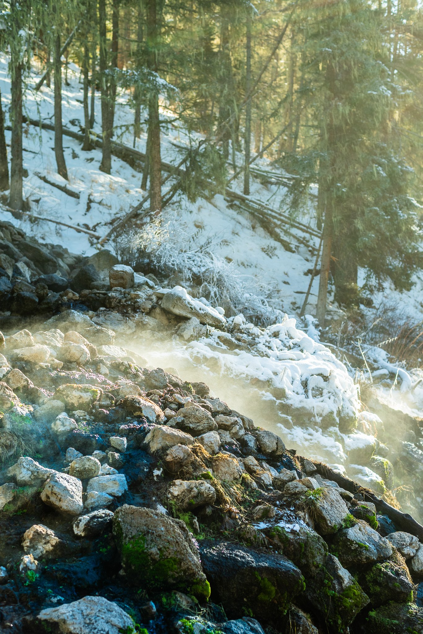 DSC_5557.jpg