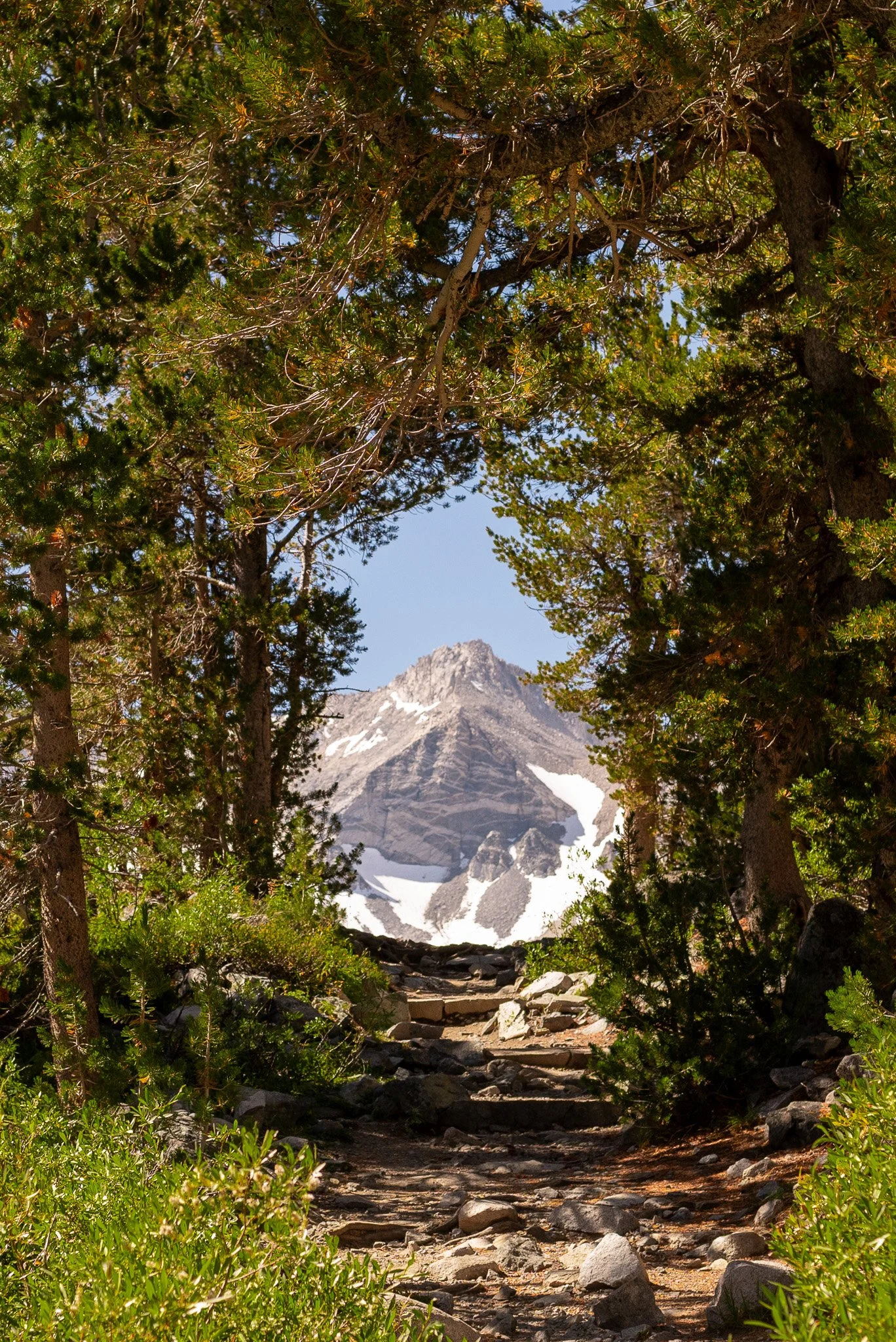 DSC_9262.jpg