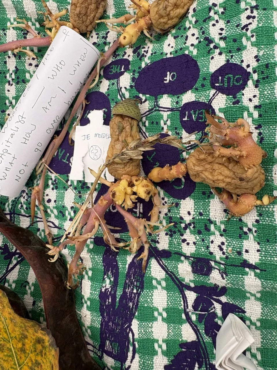 Re Nature Festival 2025, GRIEF SPACE