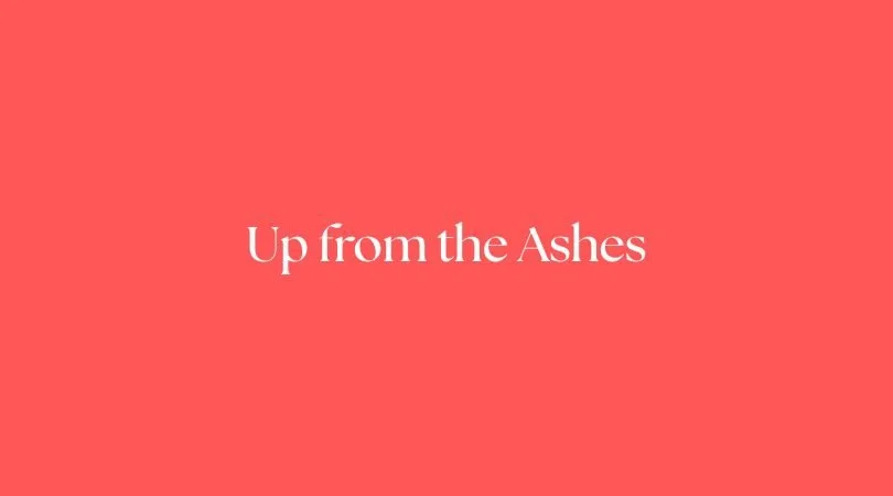 Up From the Ashes