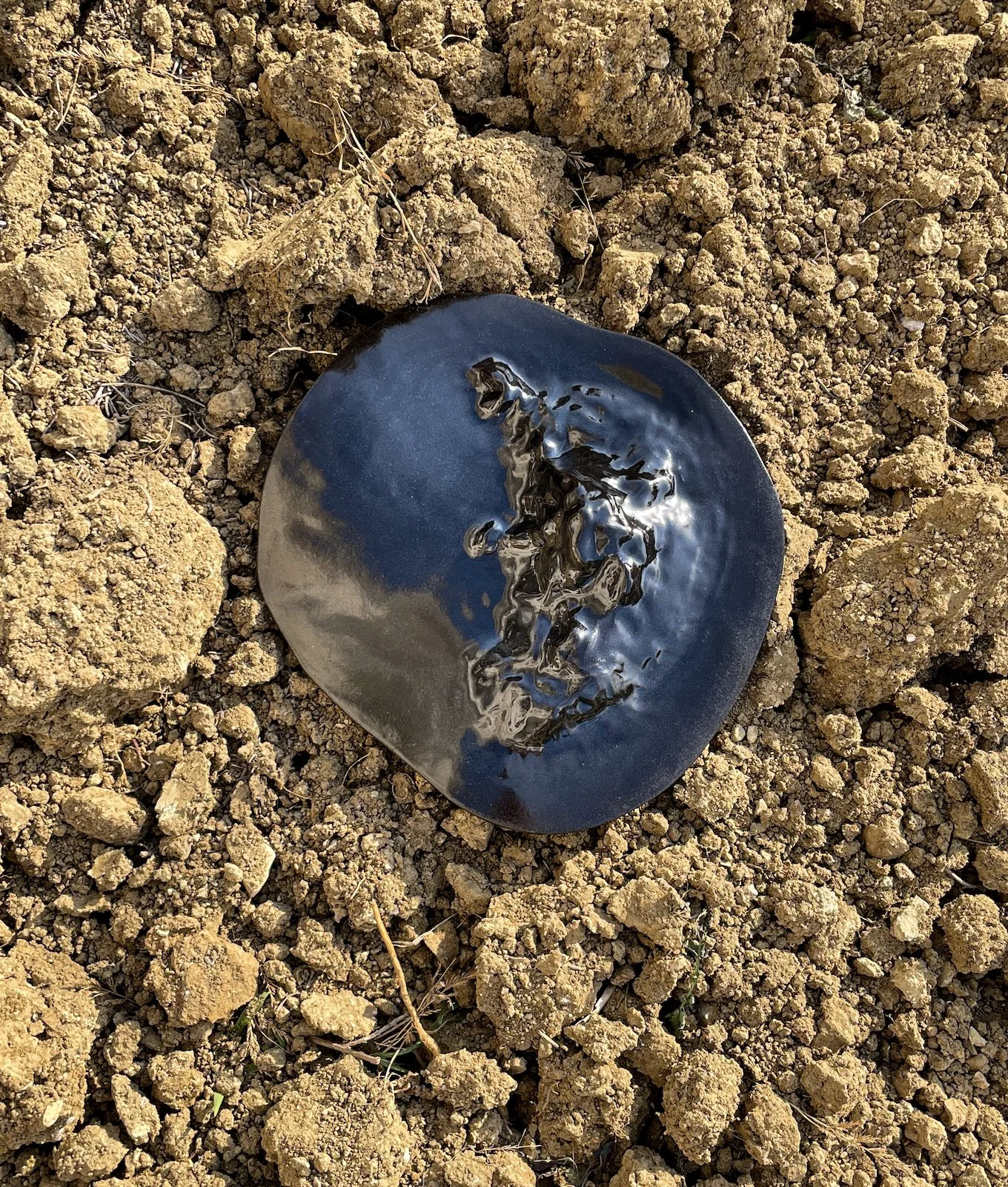 A black, shiny, rounded stone sitting on dry, brown dirt with small rocks and dry grass around it.