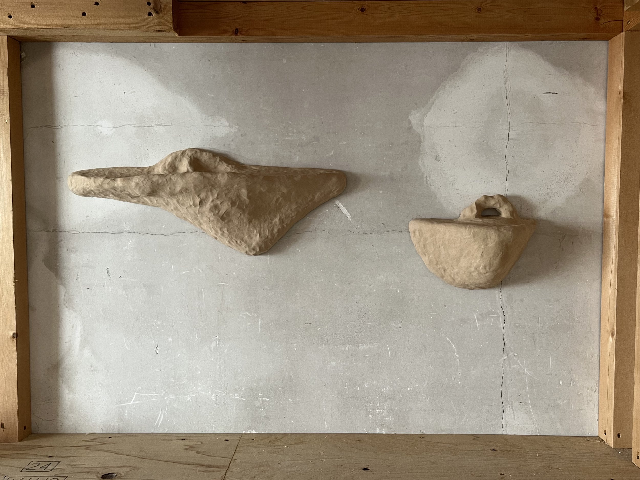 Two beige, textured, abstract sculptures mounted on a gray concrete wall within a wooden frame.