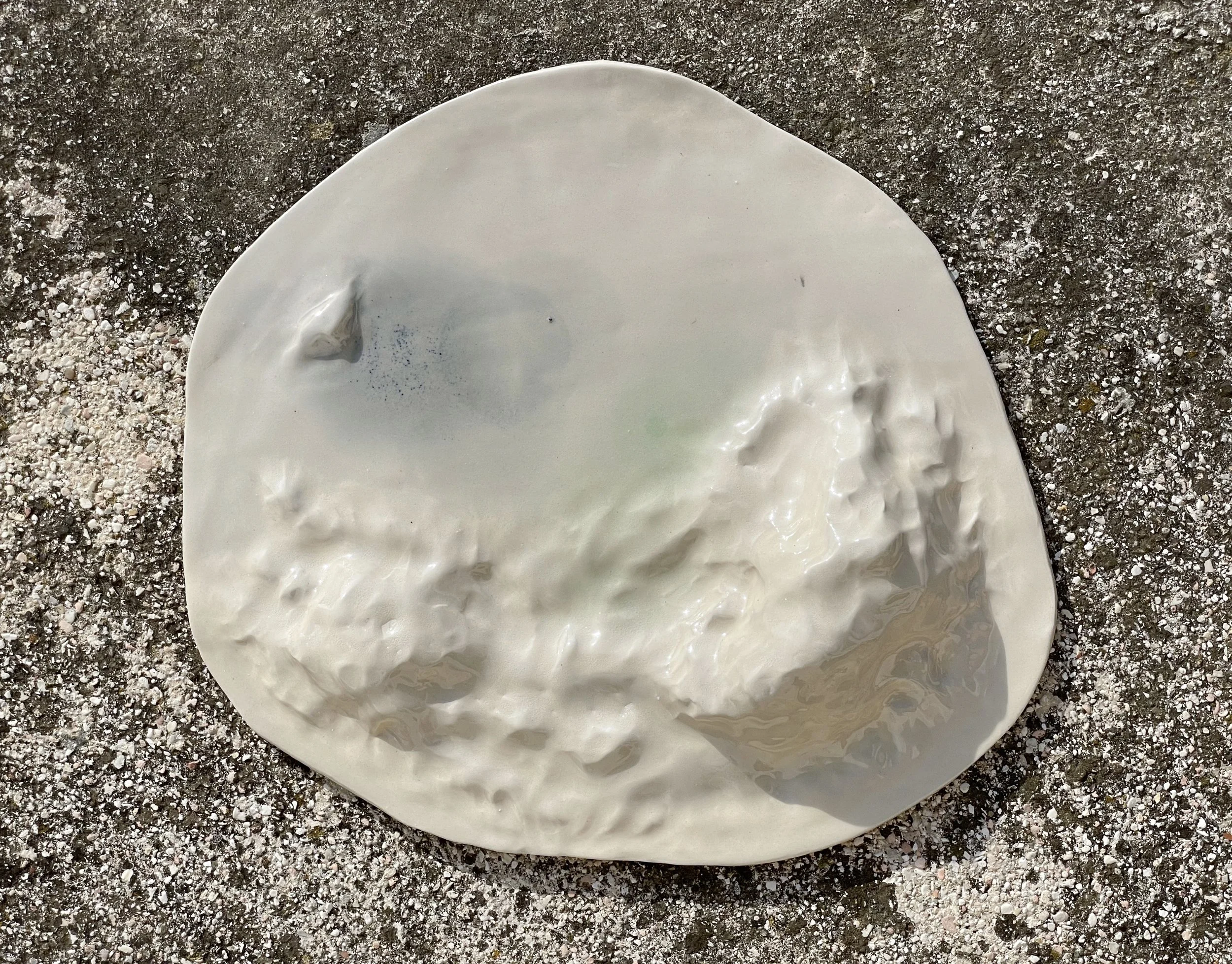 A white seashell with a smooth, glossy surface resting on a textured ground covered with small white and black specks.