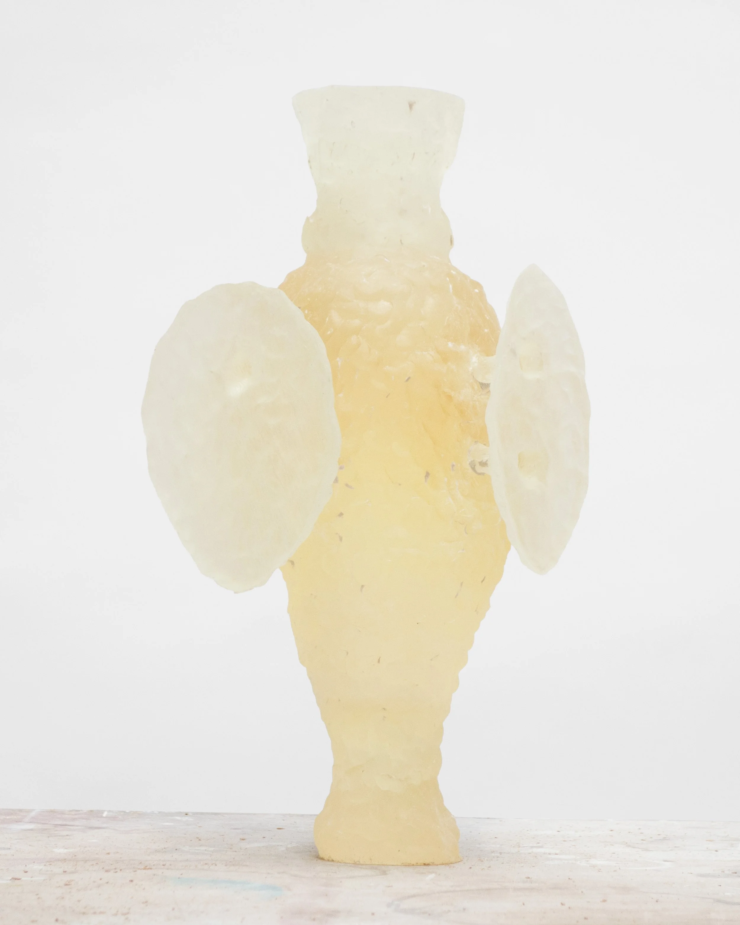 Ceramic vase with a textured surface, flanked by two dried lemon slices, set against a plain white background.