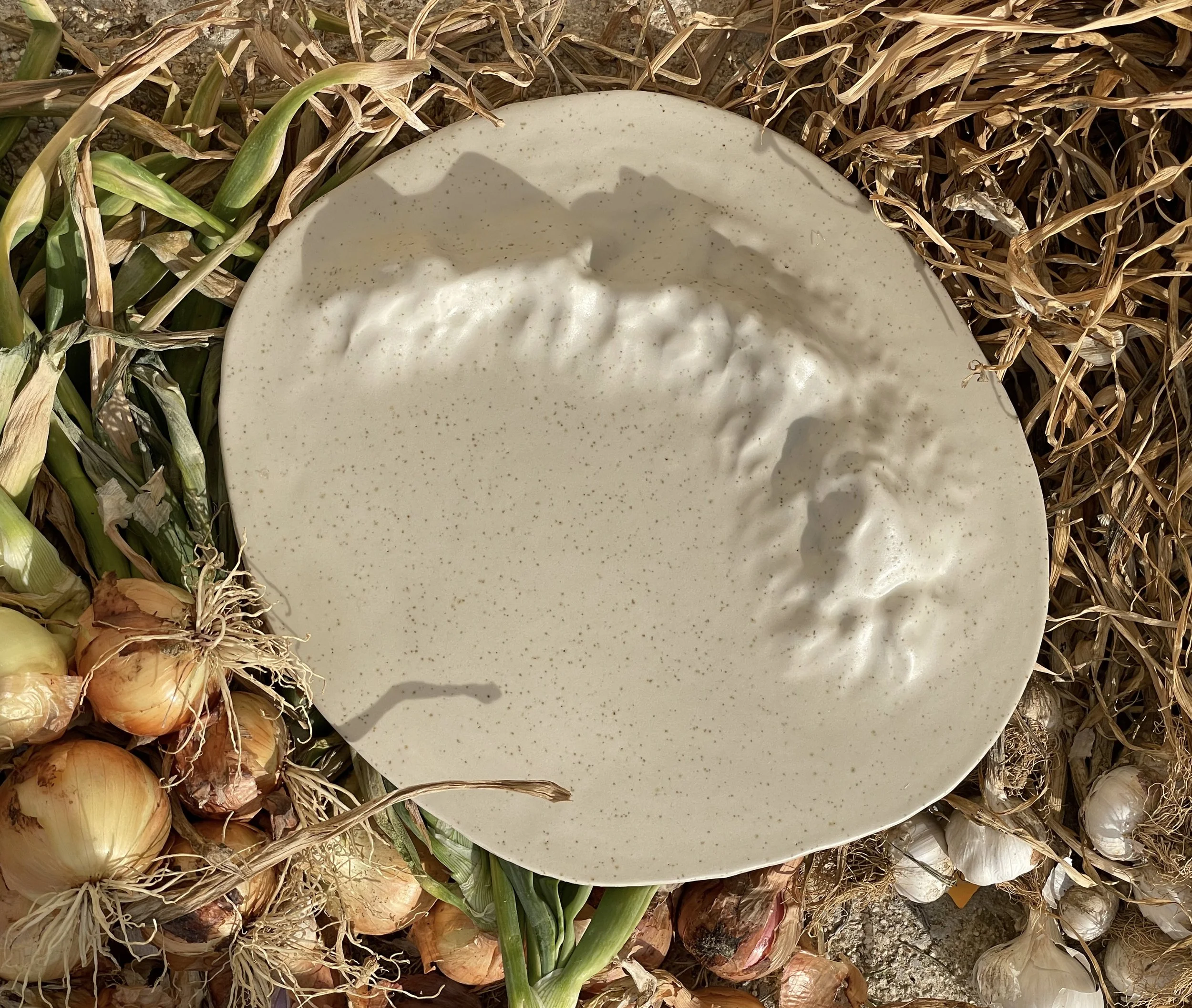 A round ceramic plate with a textured surface is placed on a bed of dried onions and garlic. Shadows of nearby leaves are cast onto the plate.